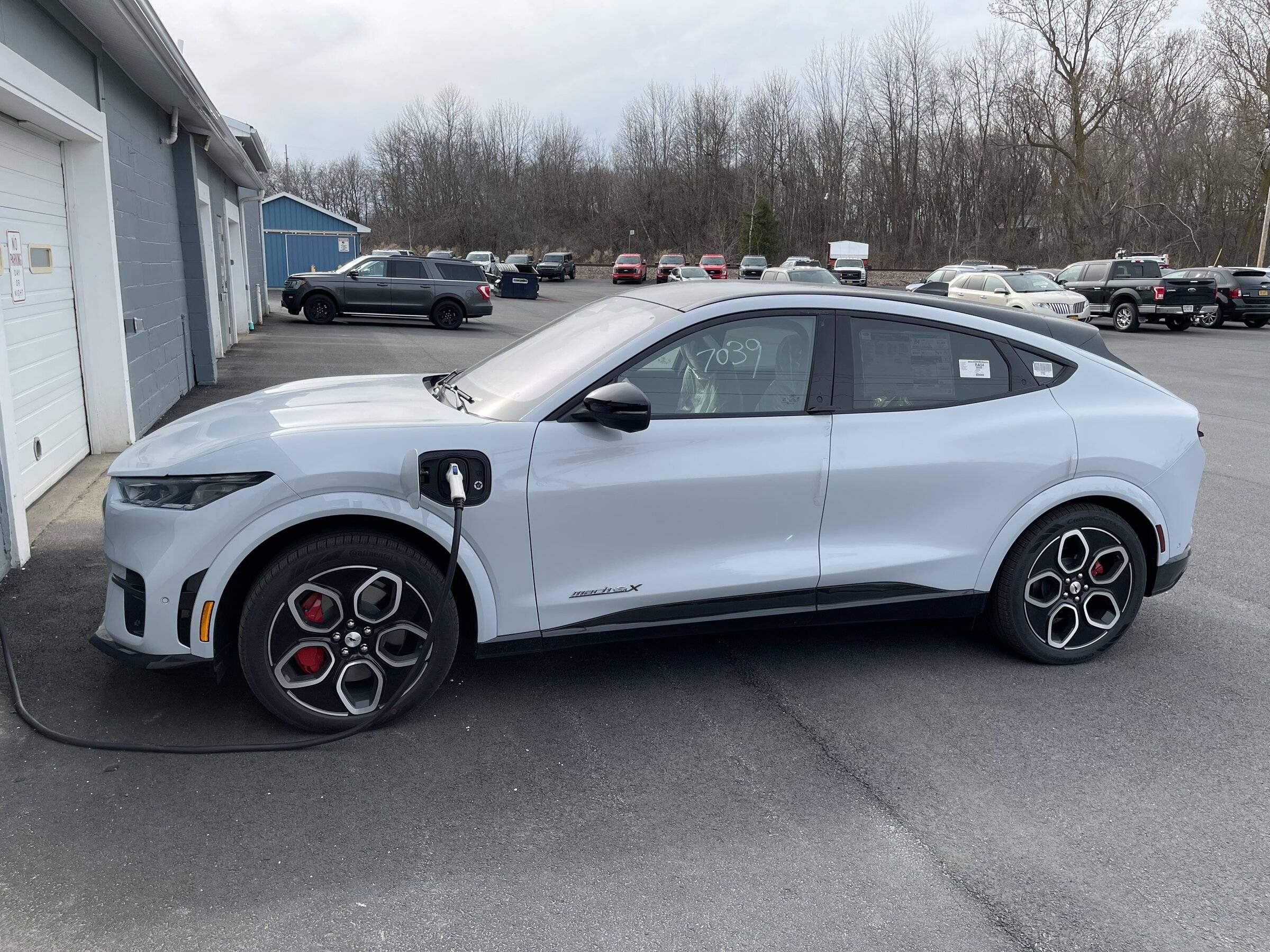 Ford Mustang Mach-E Advice for long trip? mache