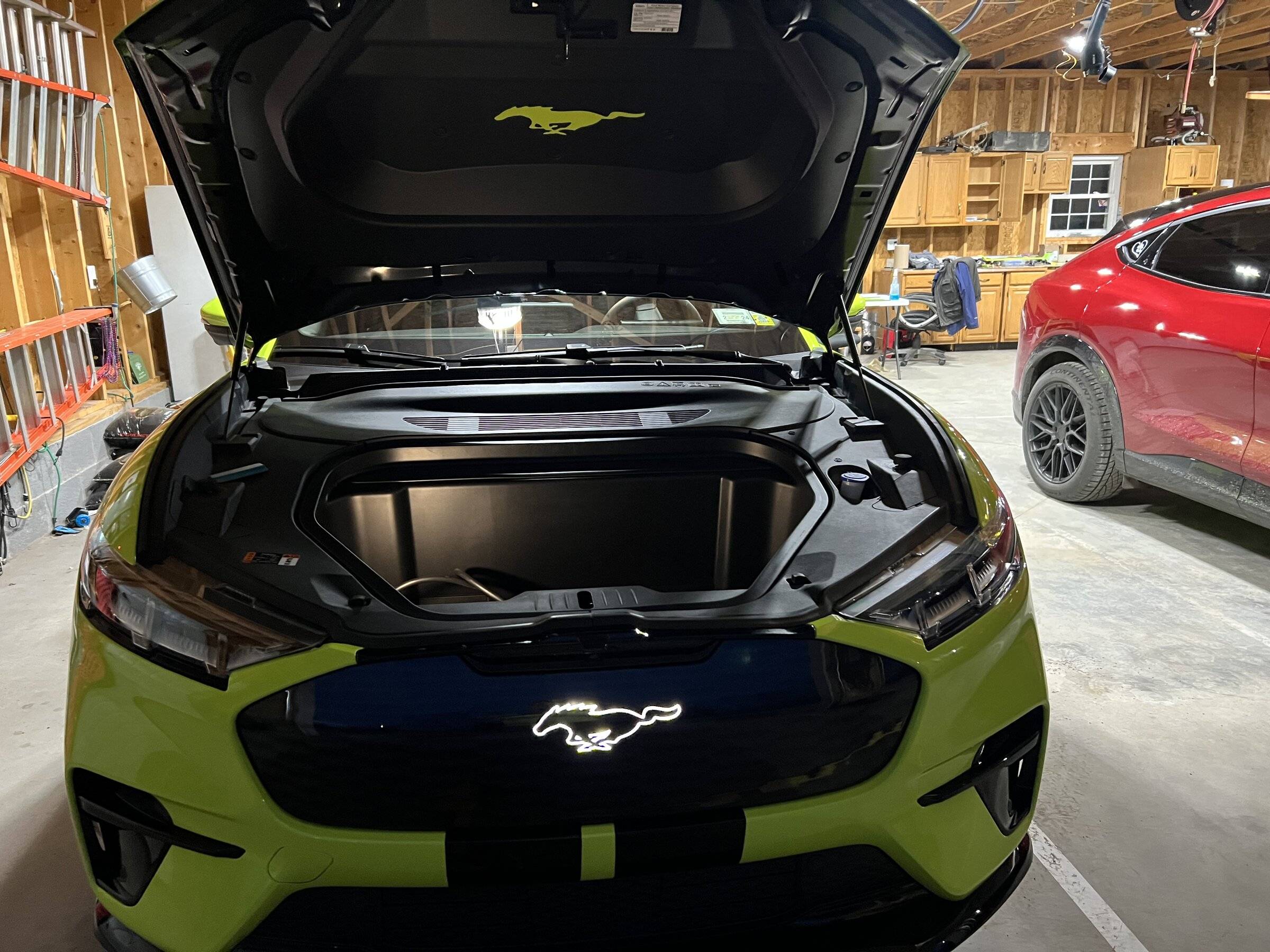 Ford Mustang Mach-E Resigning from the DMG Club and forming The Green Goblin Club F15D712A-377D-41EE-B2EB-BD18EFFCBFCC