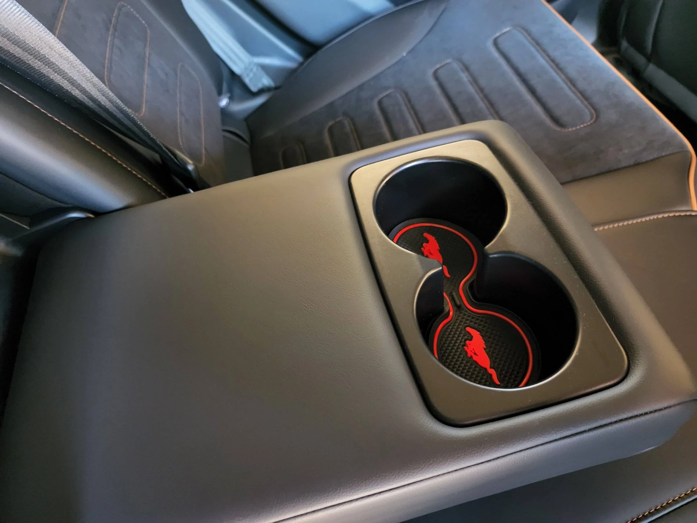 Ford Mustang Mach-E Accessorize! How did you customize your new toy? 20220427_135133