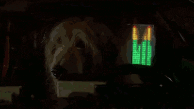 Ford Mustang Mach-E Why is my range growing?  Will my battery explode? giphy