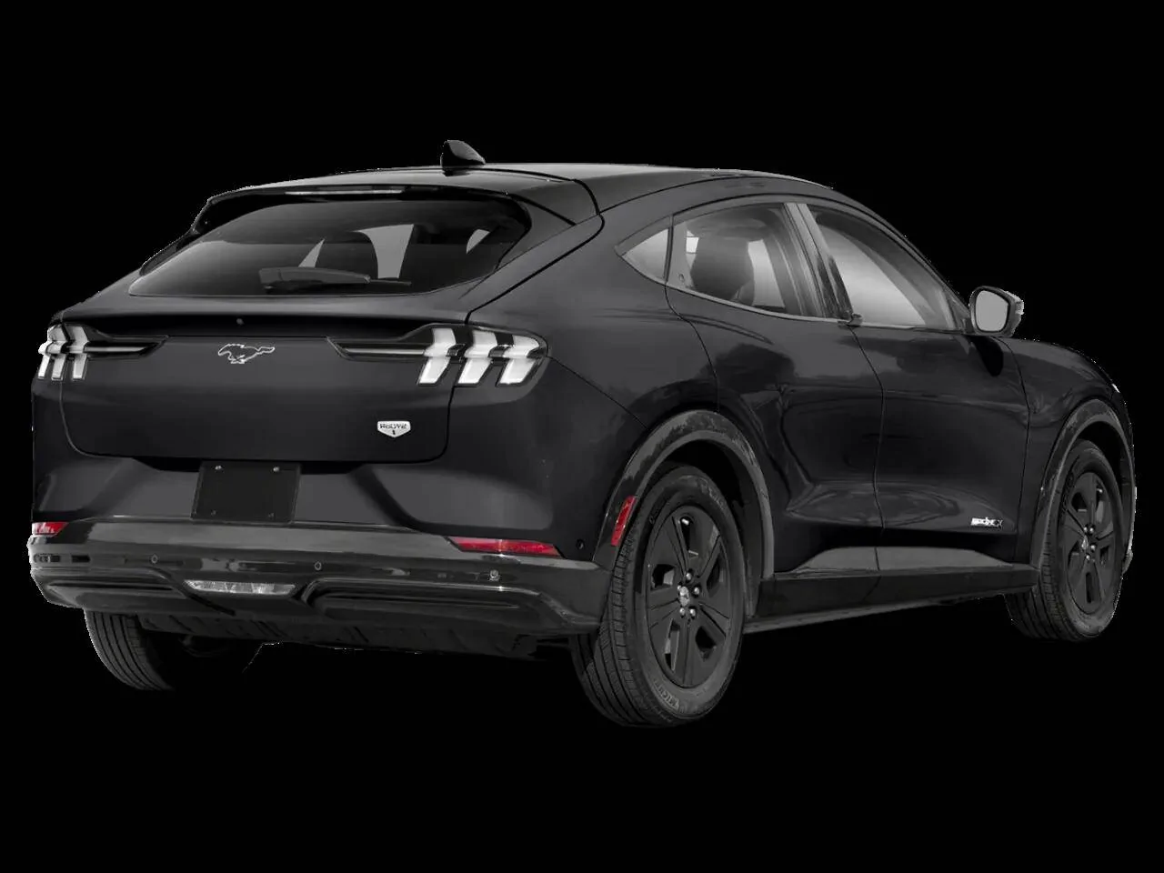 Ford Mustang Mach-E Anybody paint or vinyl the select plastics trim? 1651607313428