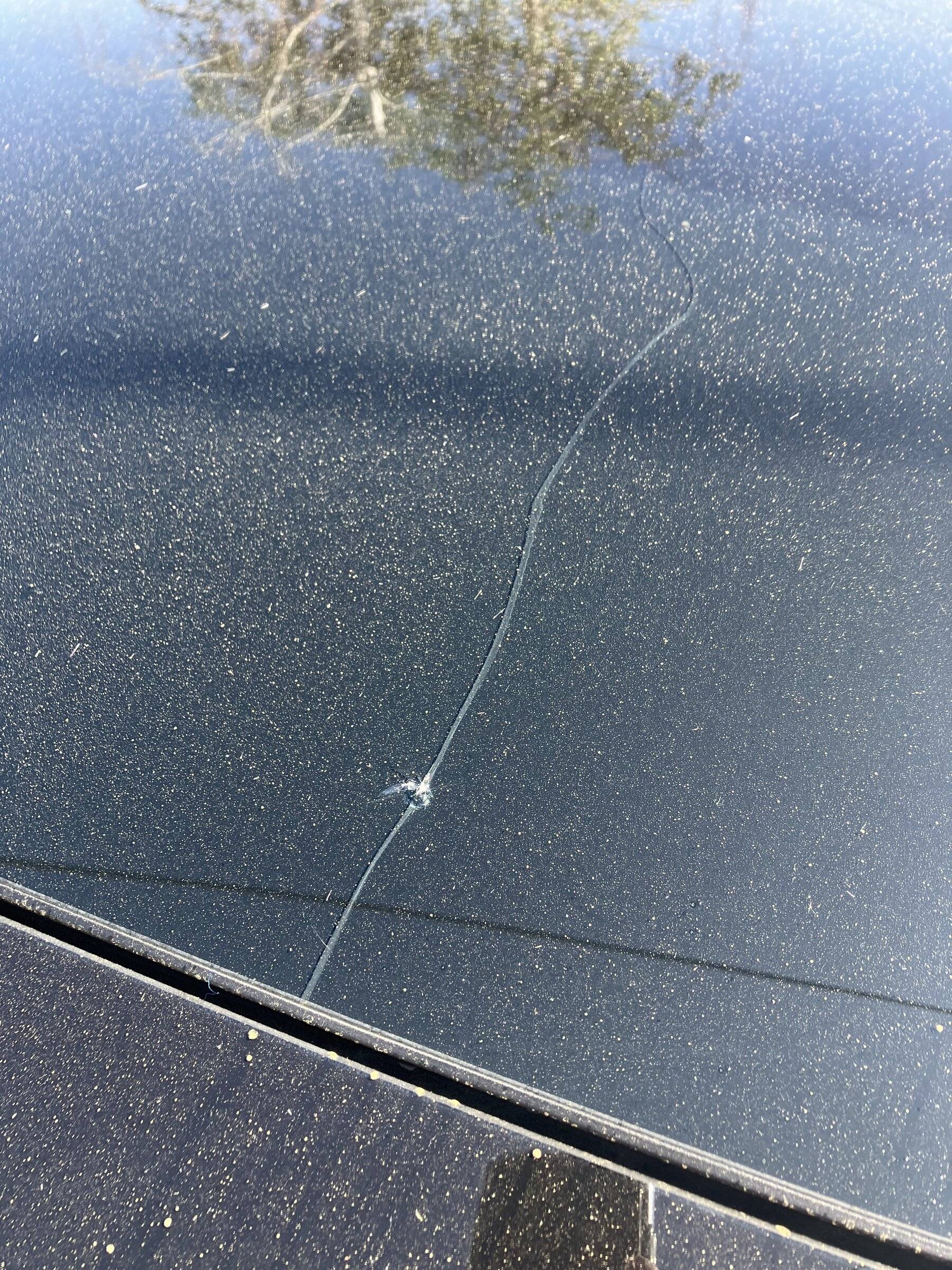 Ford Mustang Mach-E Panoramic Roof Crack AE3BD888-6E41-4C20-8980-4E413F90051D