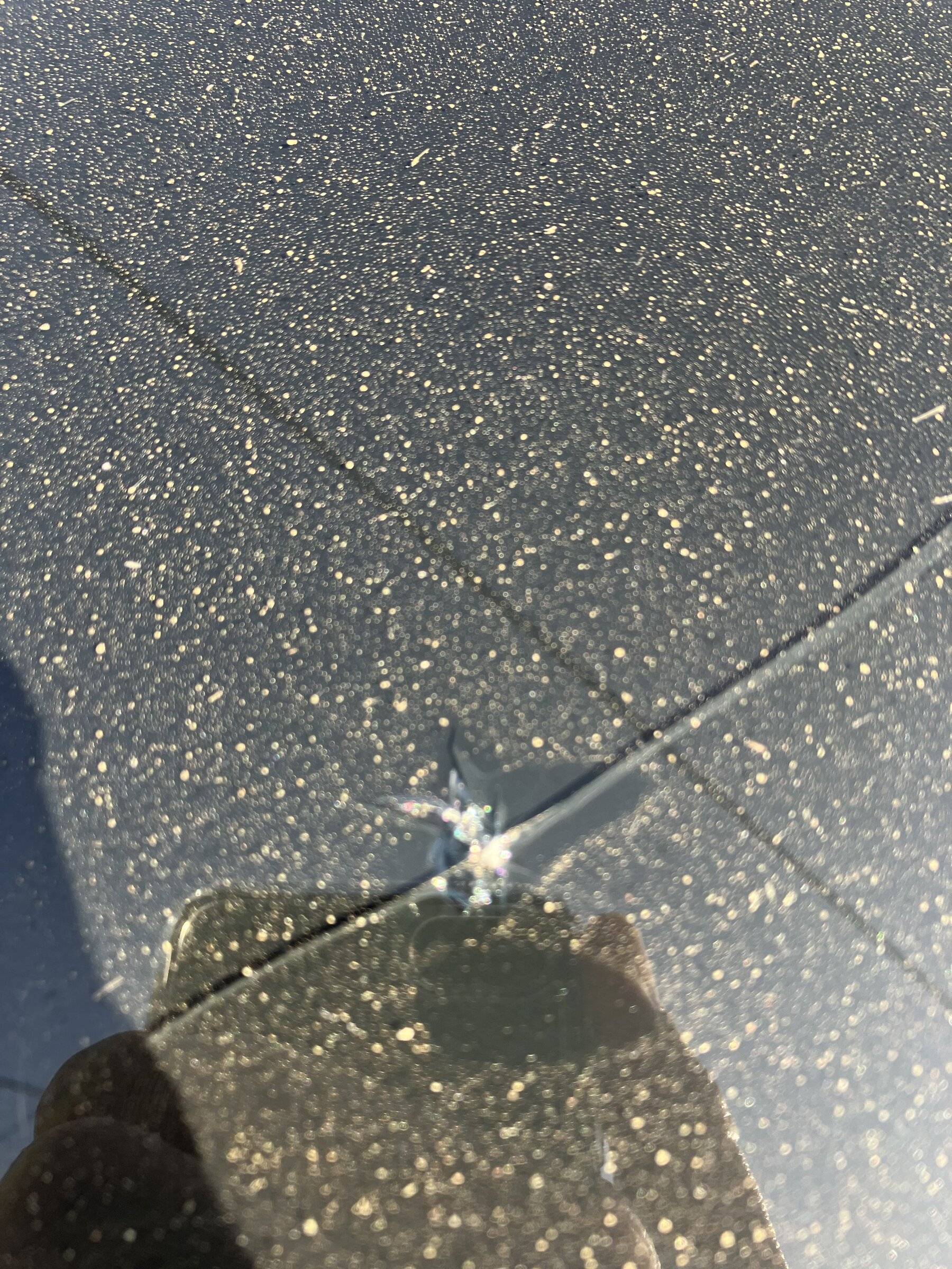 Ford Mustang Mach-E Panoramic Roof Crack 7457A19C-FB8B-456E-8657-F8FFA8C6DBAA