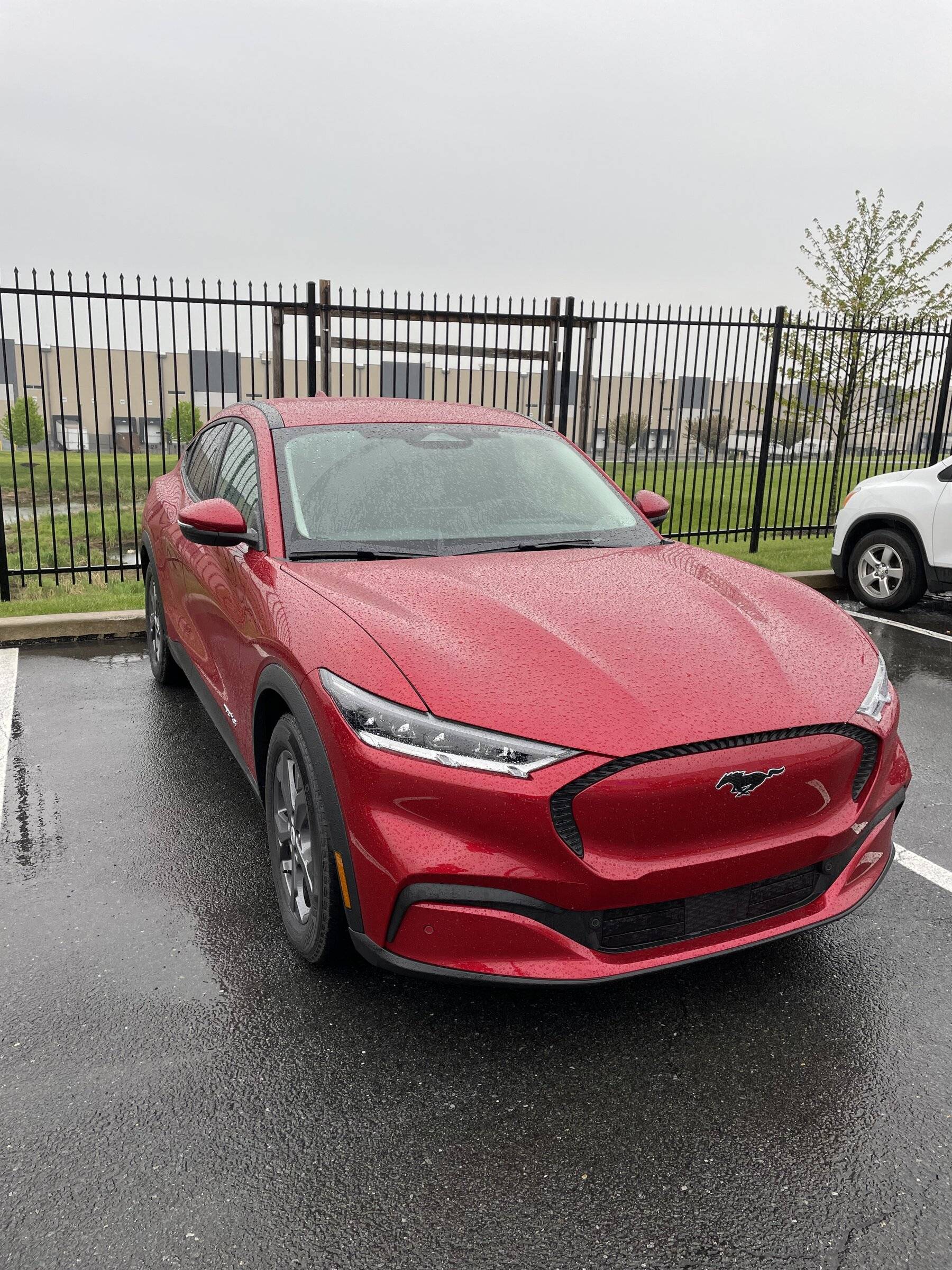 Ford Mustang Mach-E Artistic help needed 6037D3EE-7B3E-4E7D-86BA-93E04B08210B