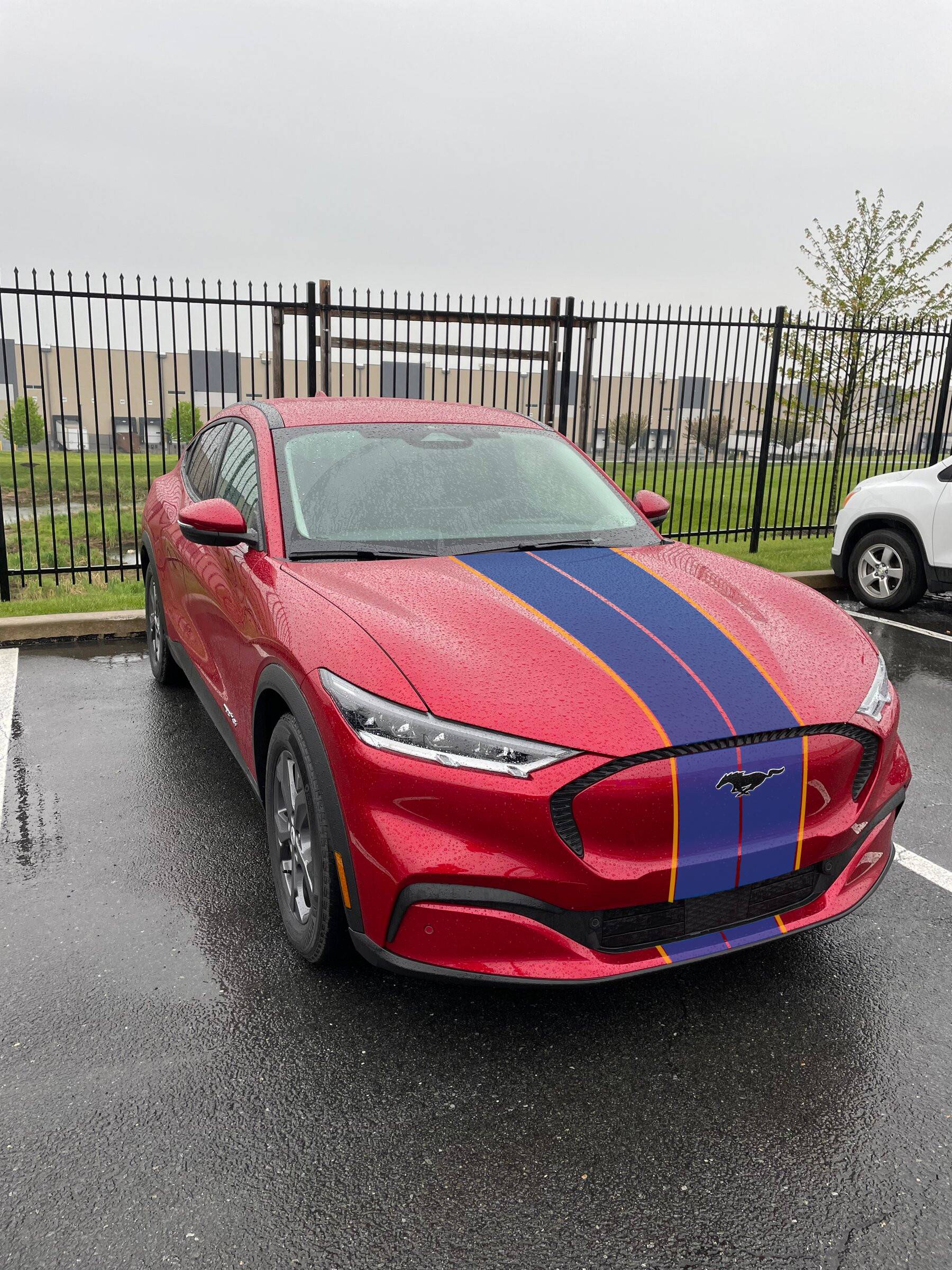 Ford Mustang Mach-E Artistic help needed RapidBread2