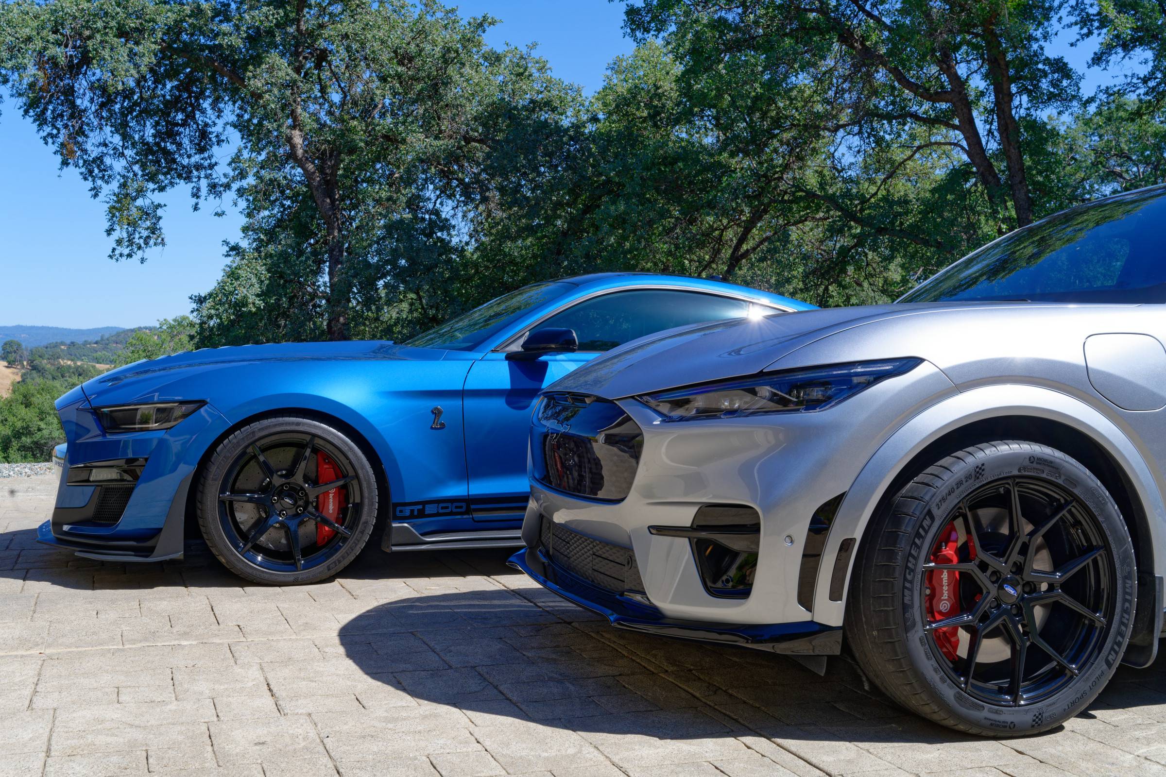 Ford Mustang Mach-E Mach-E Titanium Lug Nuts Now Available NZ7_659224