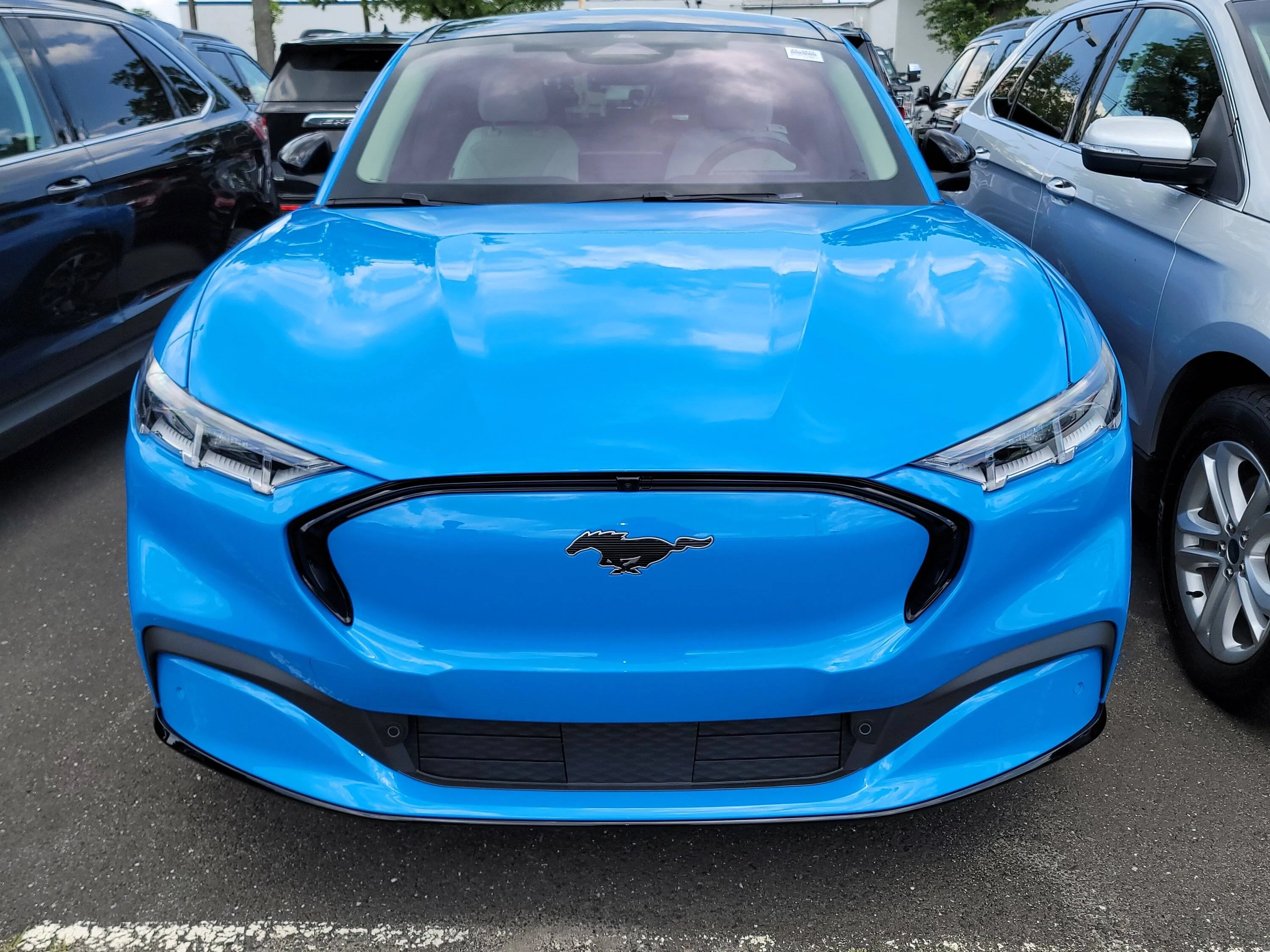 20220617_130049.jpg