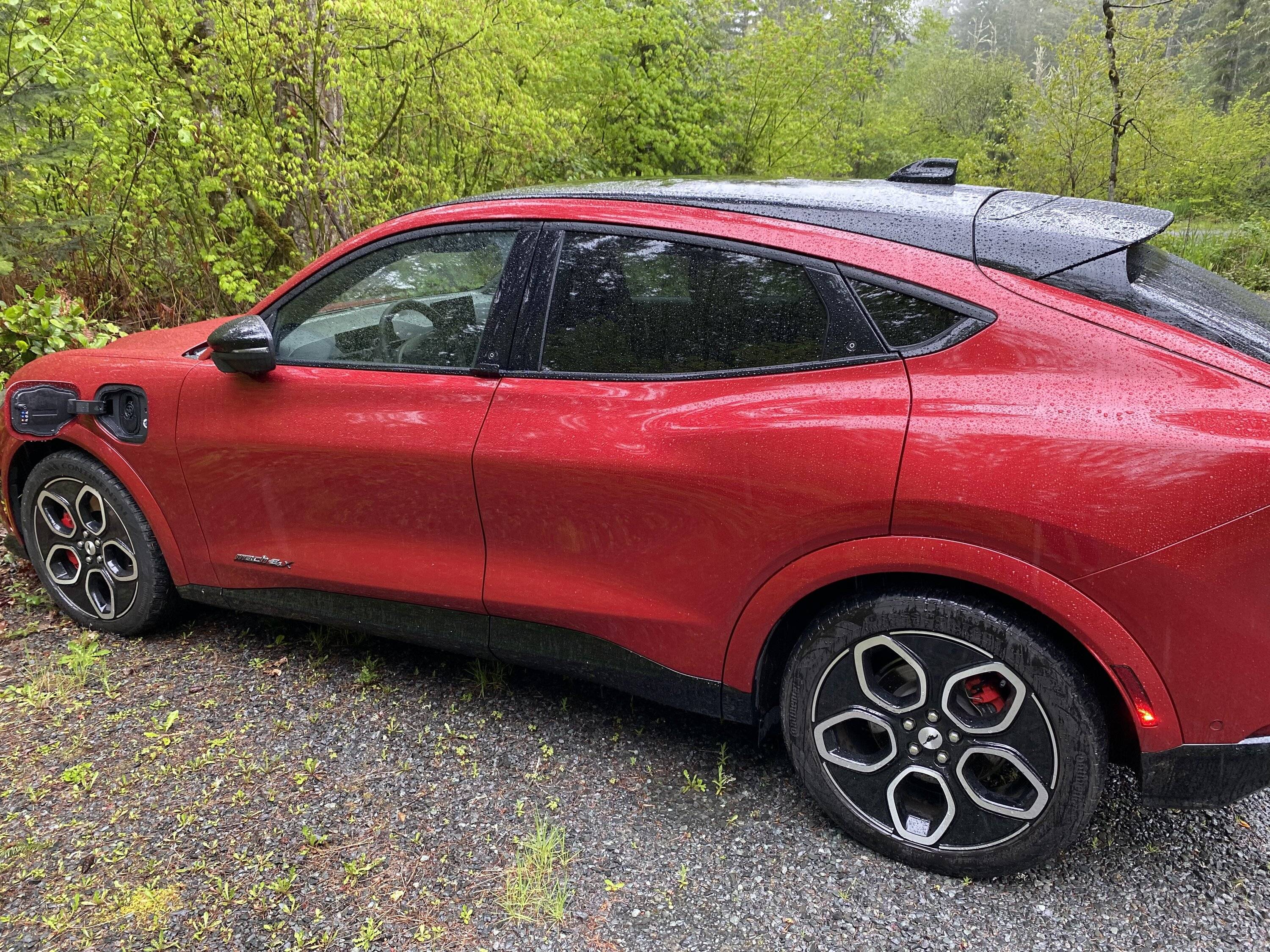 Ford Mustang Mach-E Charge port door opened by strangers 7B69C89D-A09A-4AFB-90D1-23003A8D43DA