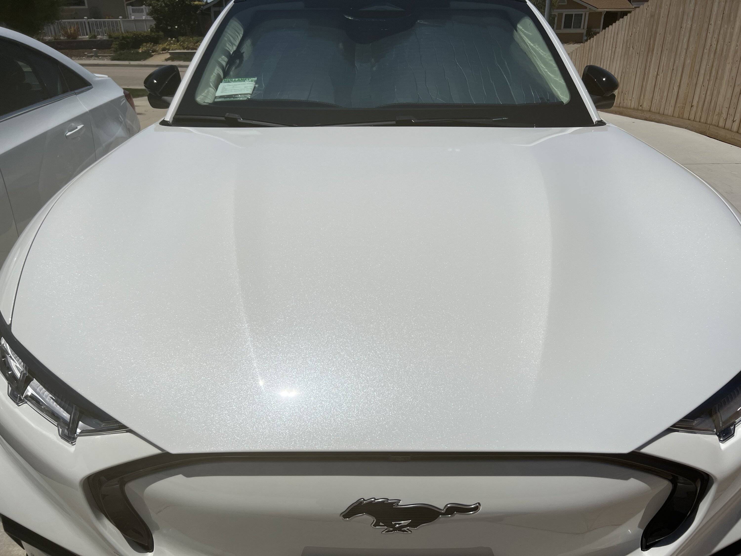 Ford Mustang Mach-E Ceramic coating? 63C6958F-670B-49C1-9B7F-5676E0D80B8D