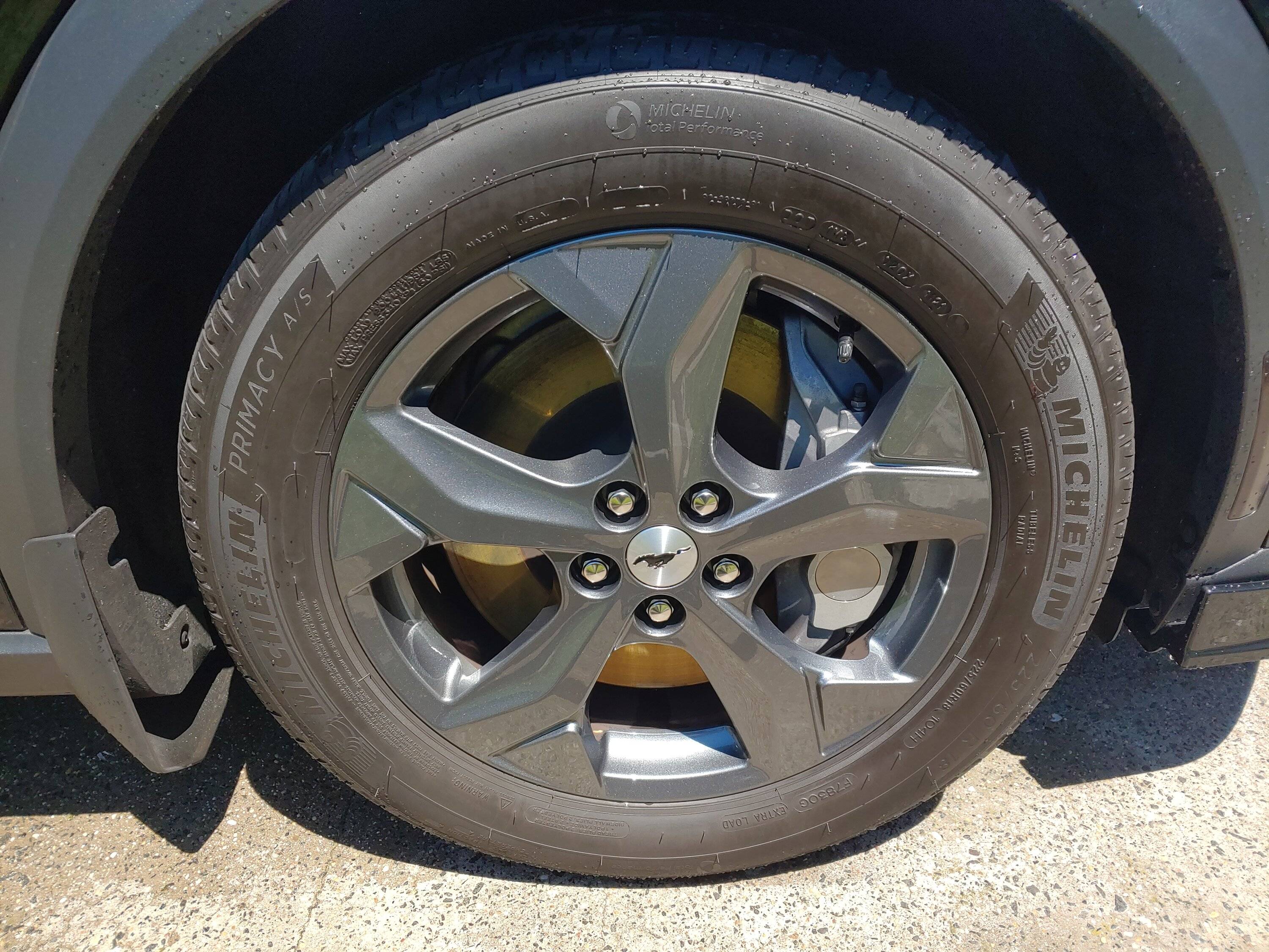 Ford Mustang Mach-E GT Wheel Dip? 20220605_114356