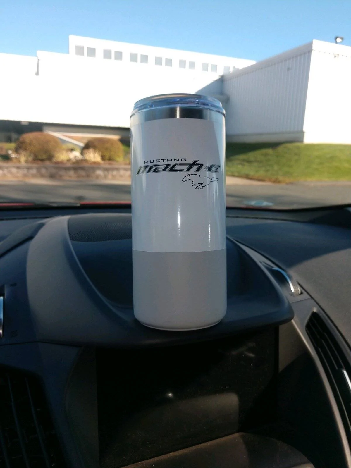 Mach-E gift.jpg