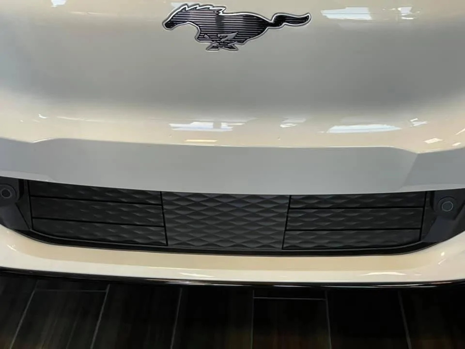 Ford Mustang Mach-E STAR WHITE METALLIC Mach-E Photos 1604617622066