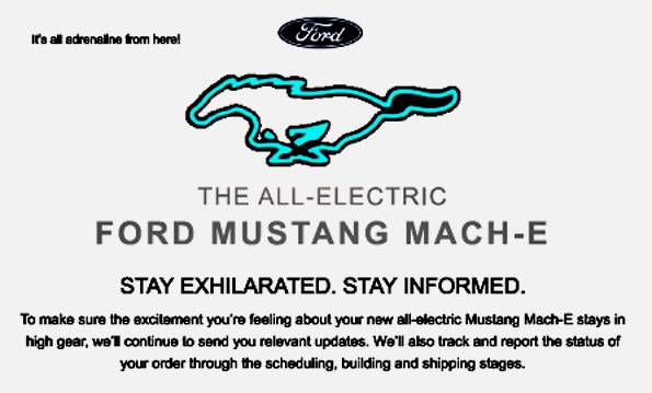 Ford Mustang Mach-E Need Encouragement! 1656869887602