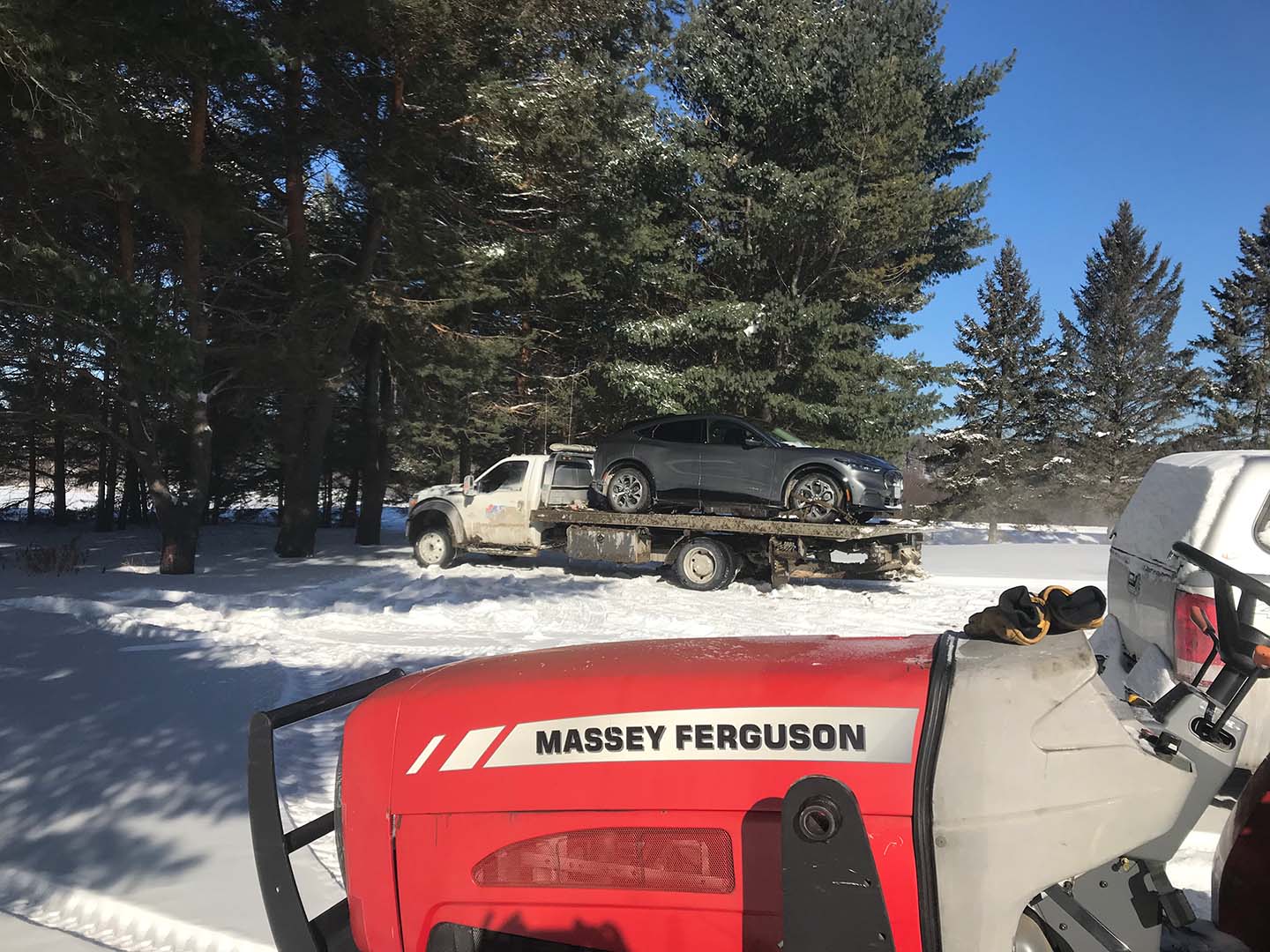 Ford Mustang Mach-E It Bit Me Like a Snake - Stop Safely Message! tow
