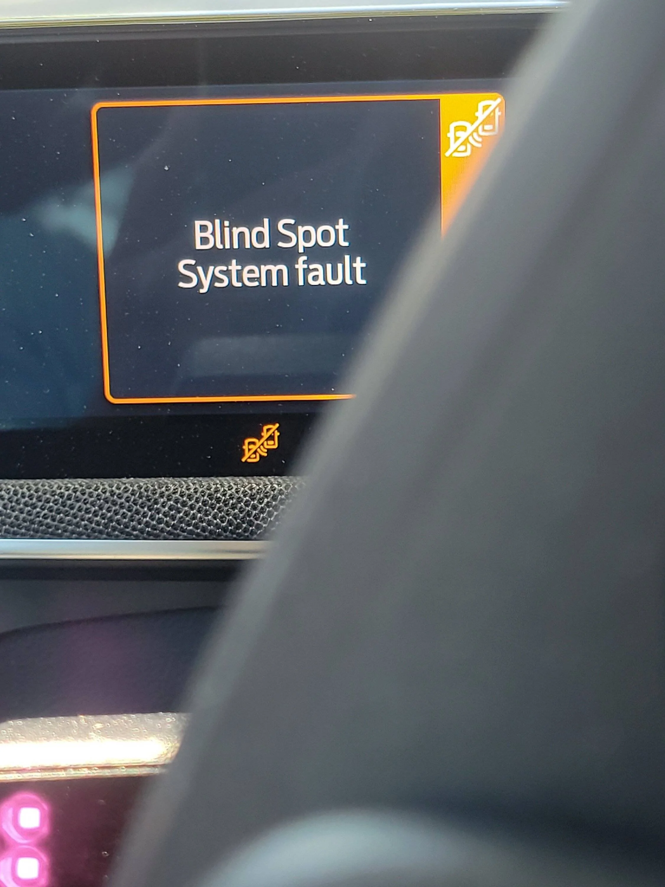 Ford Mustang Mach-E anyone else have this issue? 20220703_141329
