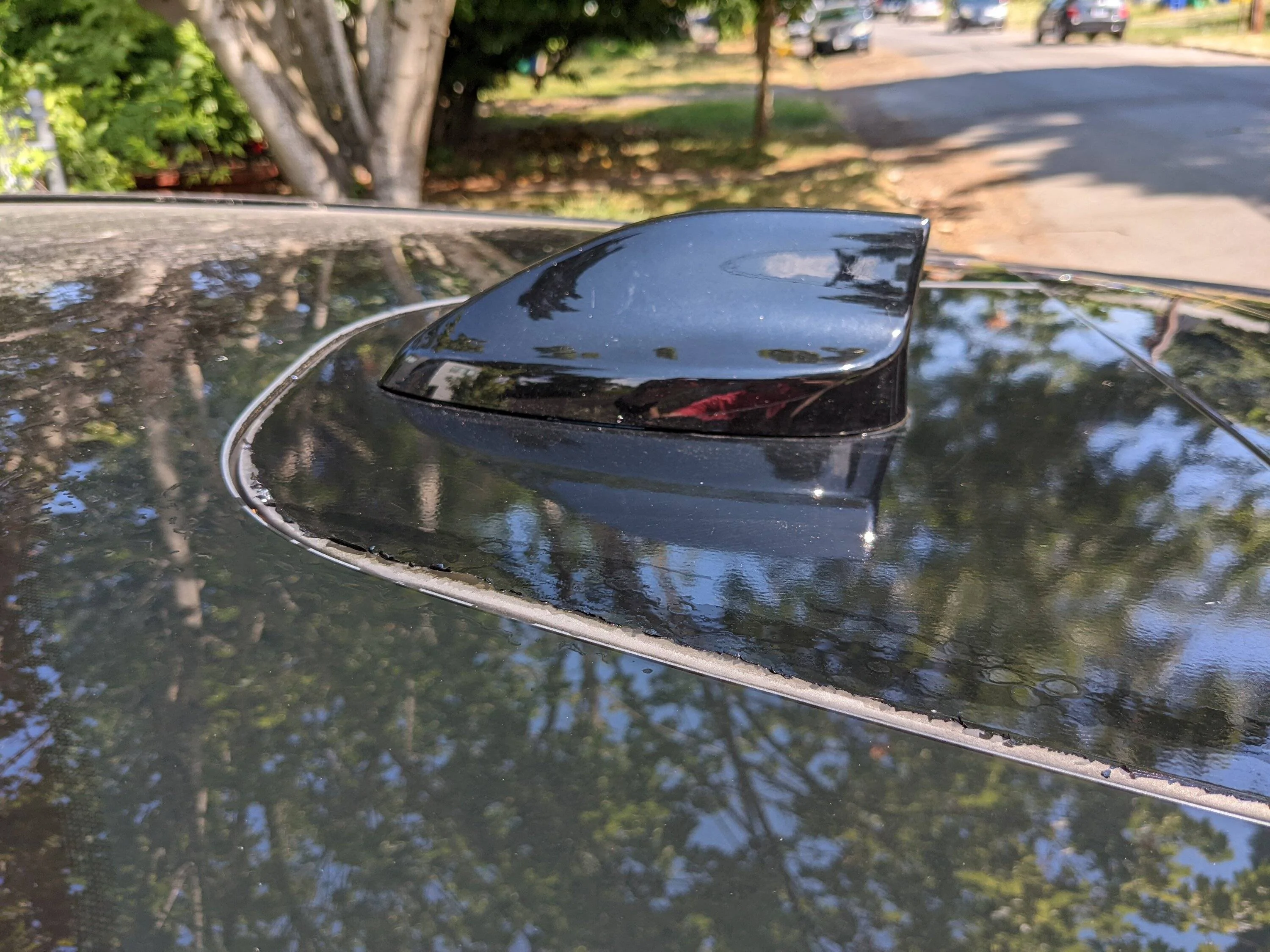 Ford Mustang Mach-E Peeling paint on panel under shark fin antenna PXL_20220730_180143230.MP
