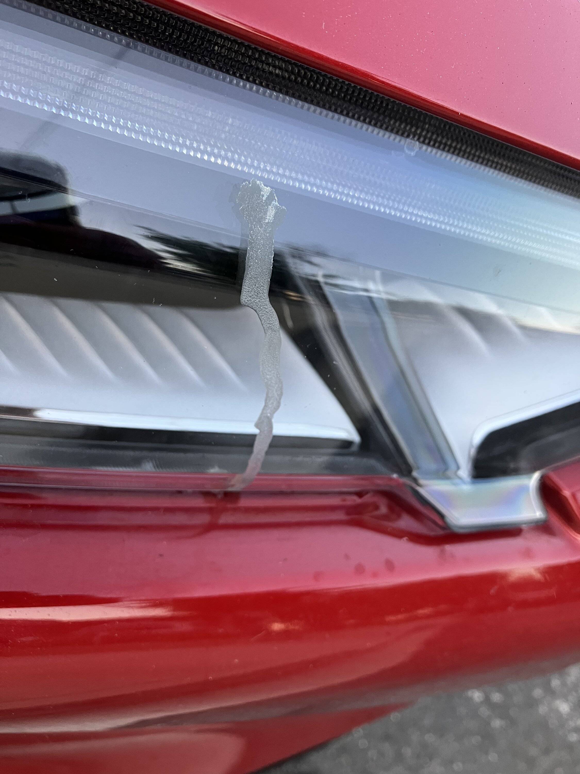 Ford Mustang Mach-E What is this dried substance on my headlight 4B448ED9-28F4-469D-A117-F26AB5E1577A
