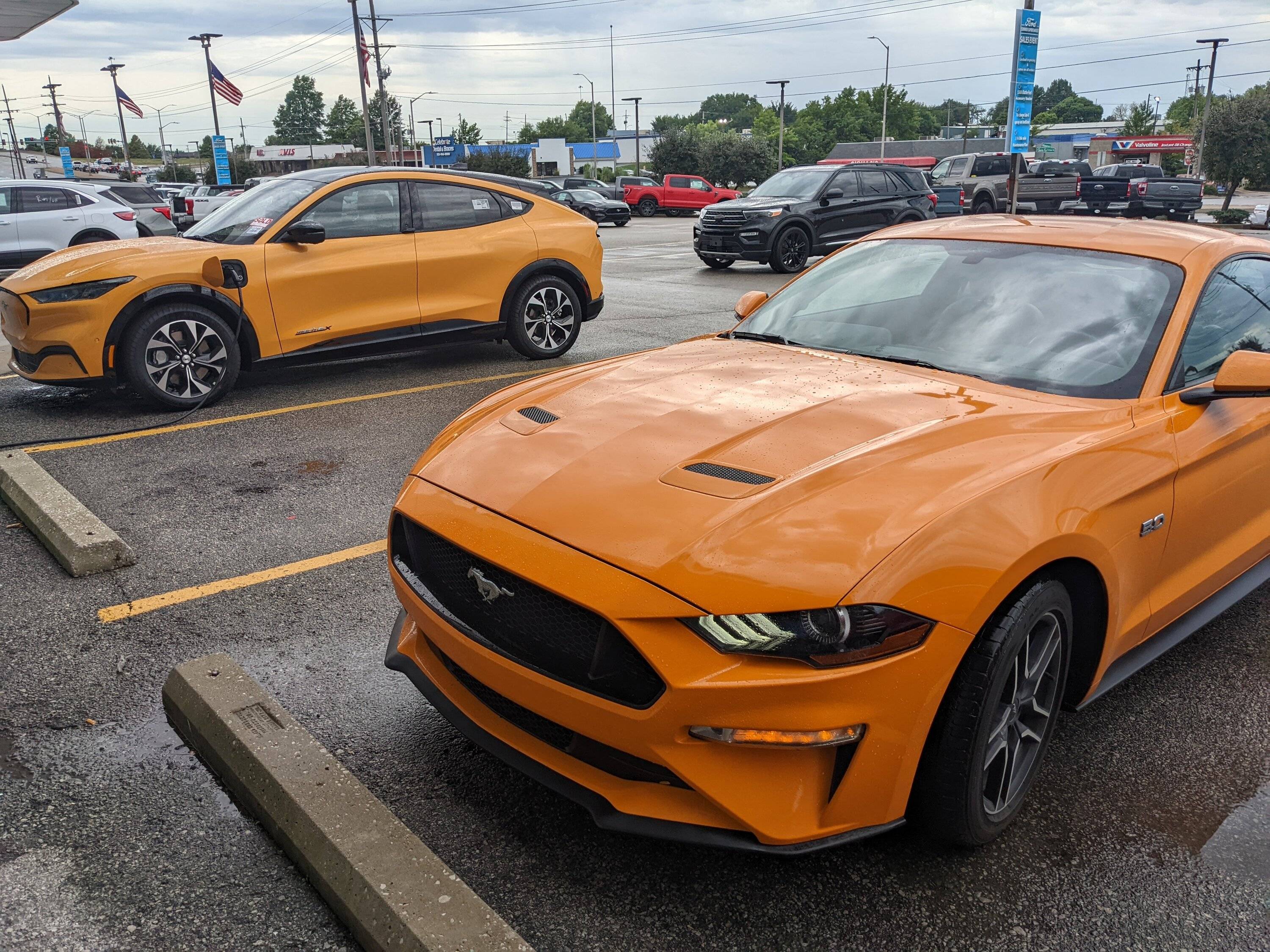 Ford Mustang Mach-E 6/27/22 Build Week Thread PXL_20220803_175605649
