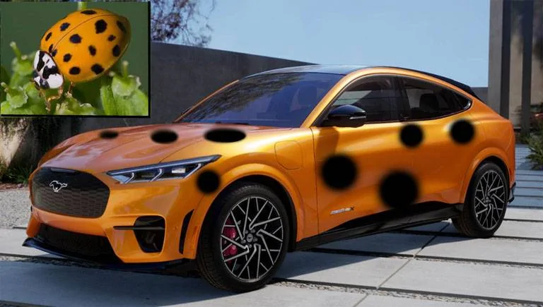 Ford Mustang Mach-E Do bugs love Cyber Orange more? 1659926156015