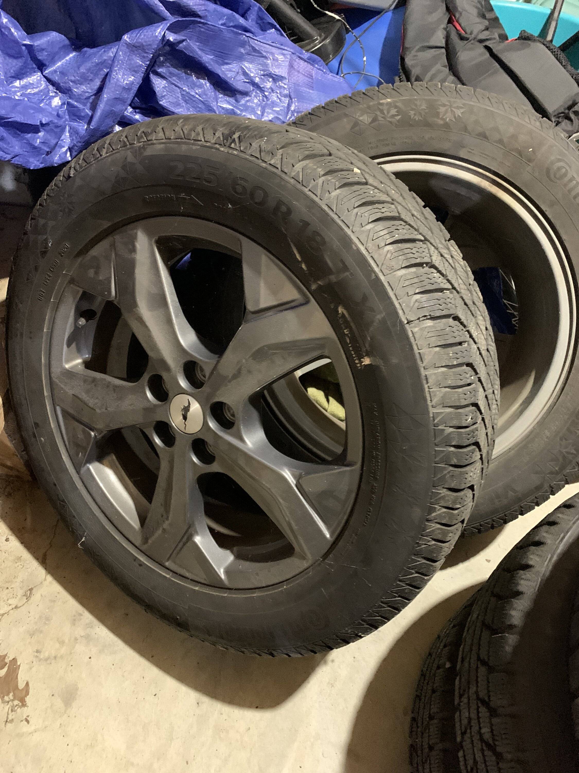 Ford Mustang Mach-E 18” Select wheels with Continental Viking Contact 7 Snows with TPMS and Lugs image