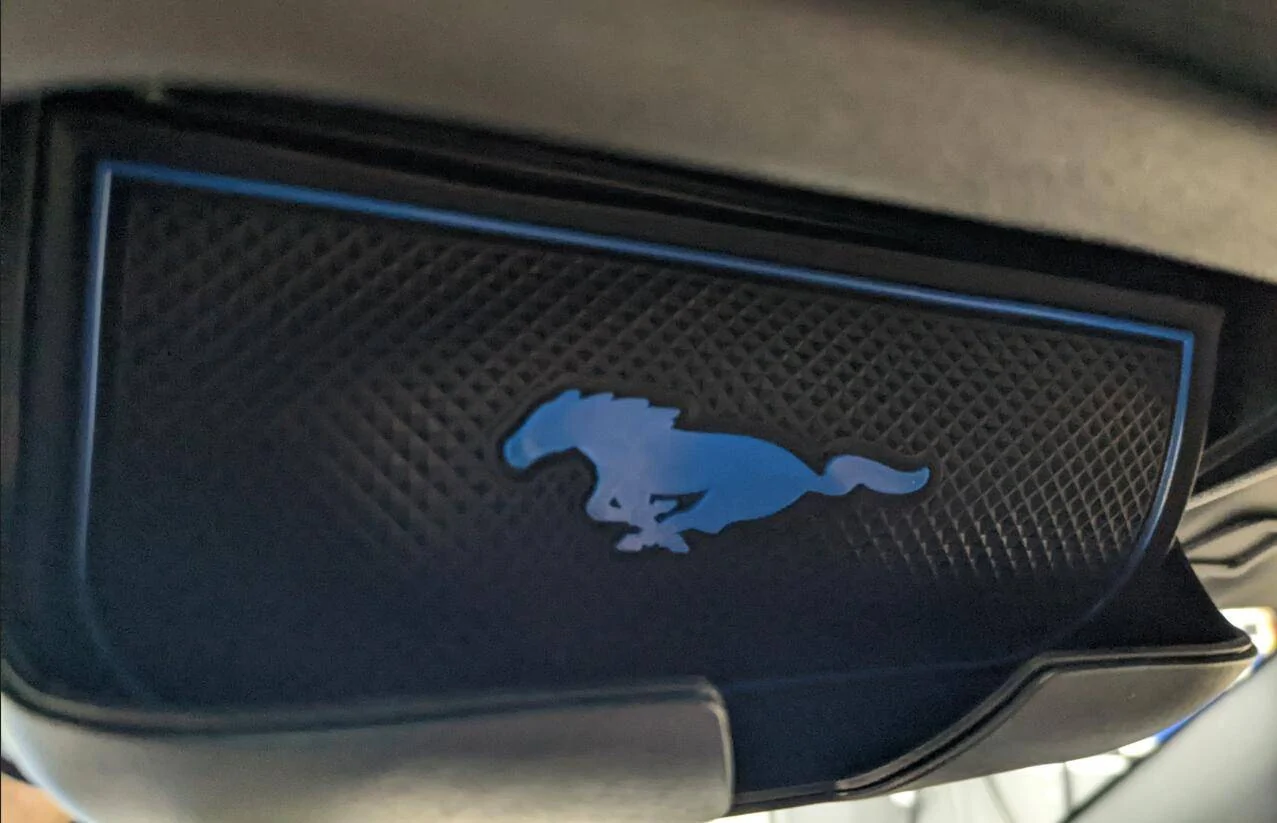 Ford Mustang Mach-E Sunglasses Holder padding? 1662002975446