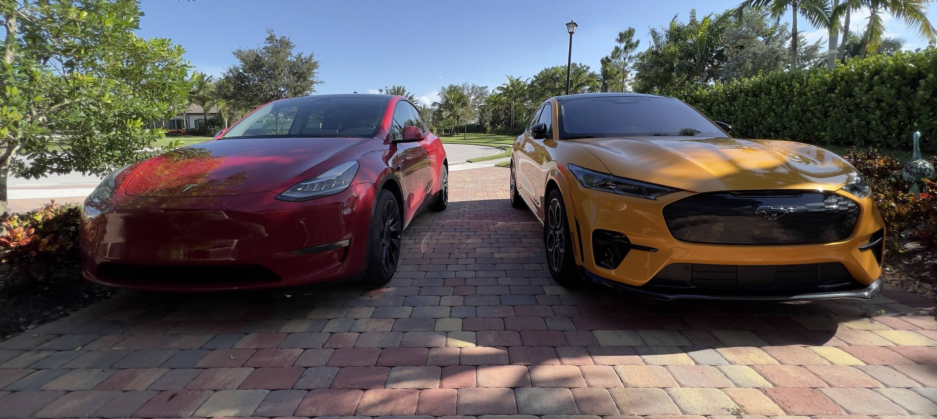Ford Mustang Mach-E Mach E GT and Tesla Model Y both here 193BA21C-C12D-41C8-9D8F-4E1770701A6B