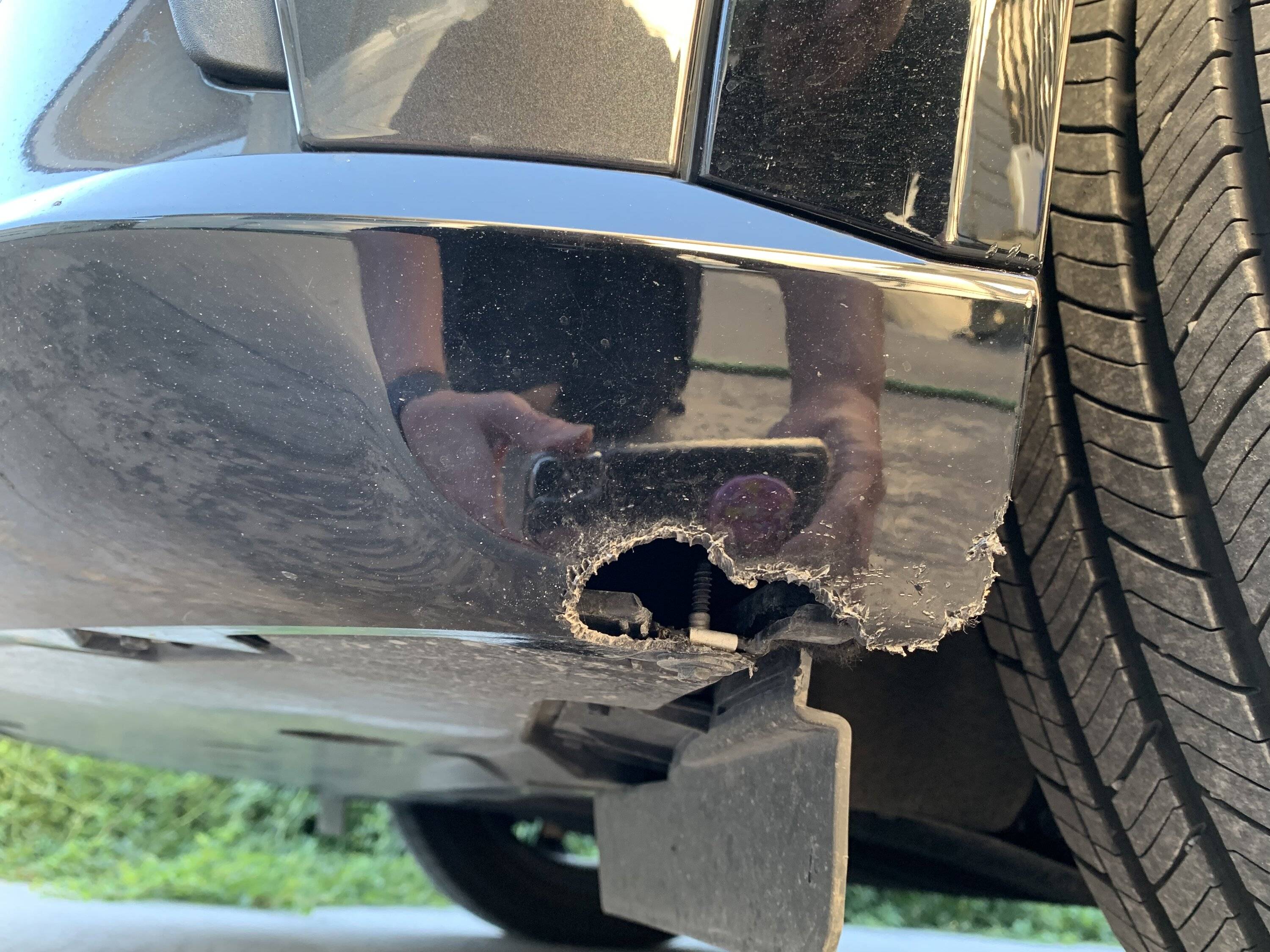 Ford Mustang Mach-E Squirrel damage to my 2022 Mach-E 33870C71-31B6-48BE-A2FB-EF0392D404F1