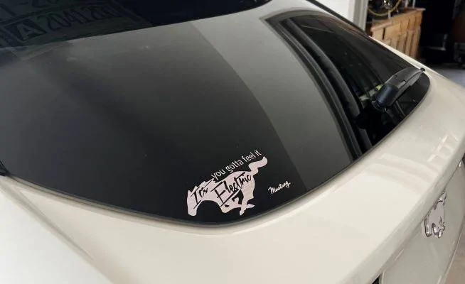 Ford Mustang Mach-E Bumper (Window?) Stickers IMG_1705(2)