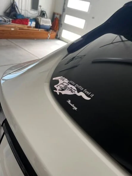 Ford Mustang Mach-E Bumper (Window?) Stickers IMG_1706(1)