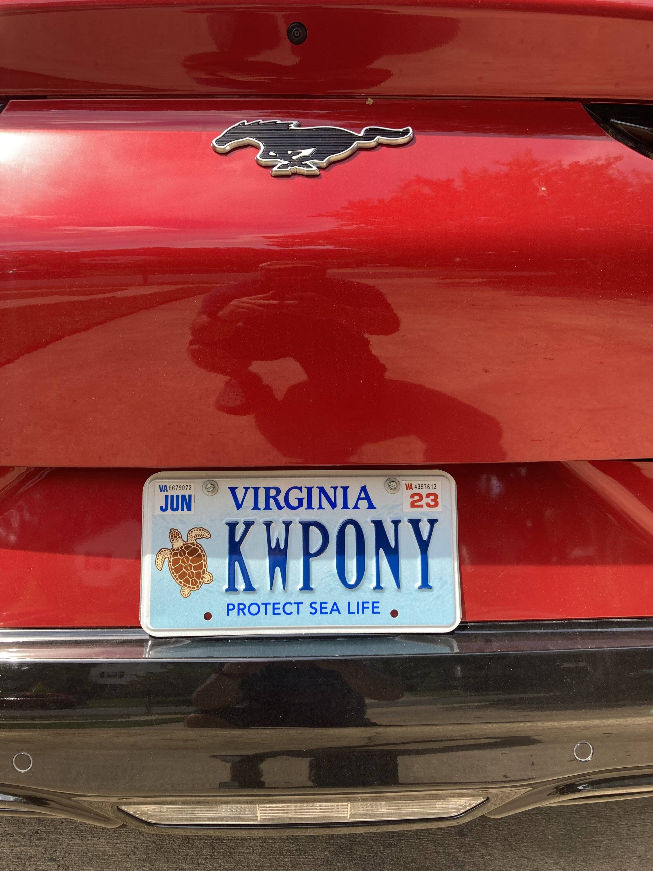 Ford Mustang Mach-E Custom license plate ideas BD1BA1C2-9402-4DF9-91C7-478A1FA4E6E5