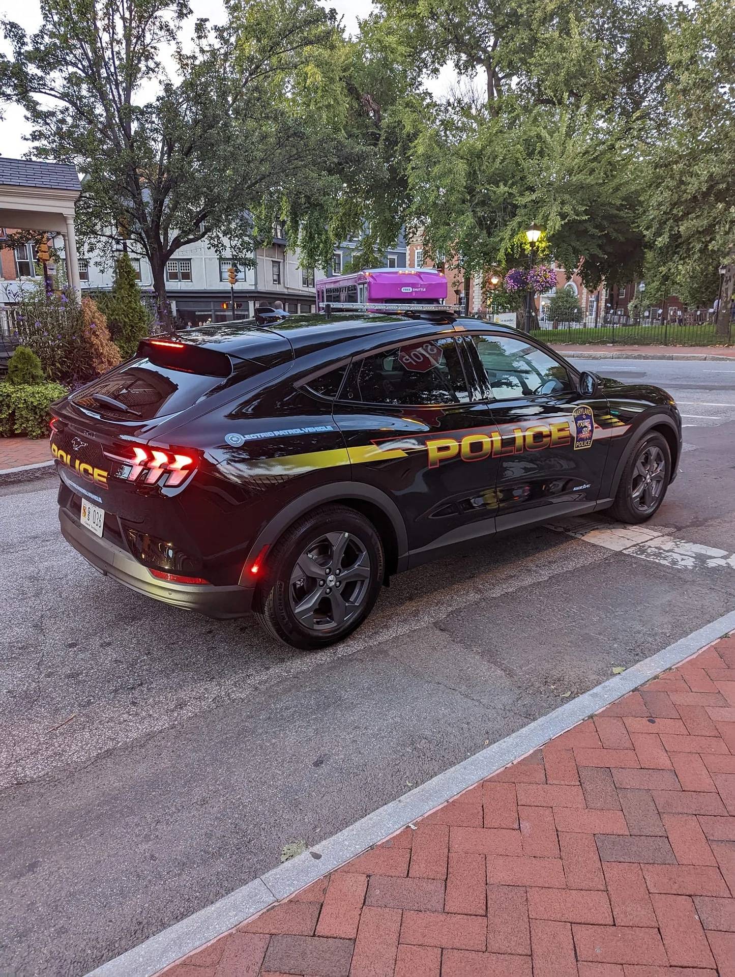 Ford Mustang Mach-E Mach-E Police Cars MSP Mach E
