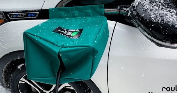 Ford Mustang Mach-E Charging in the rain / wet - any electrocution risk? Screen Shot 2020-11-15 at 6.46.52 PM