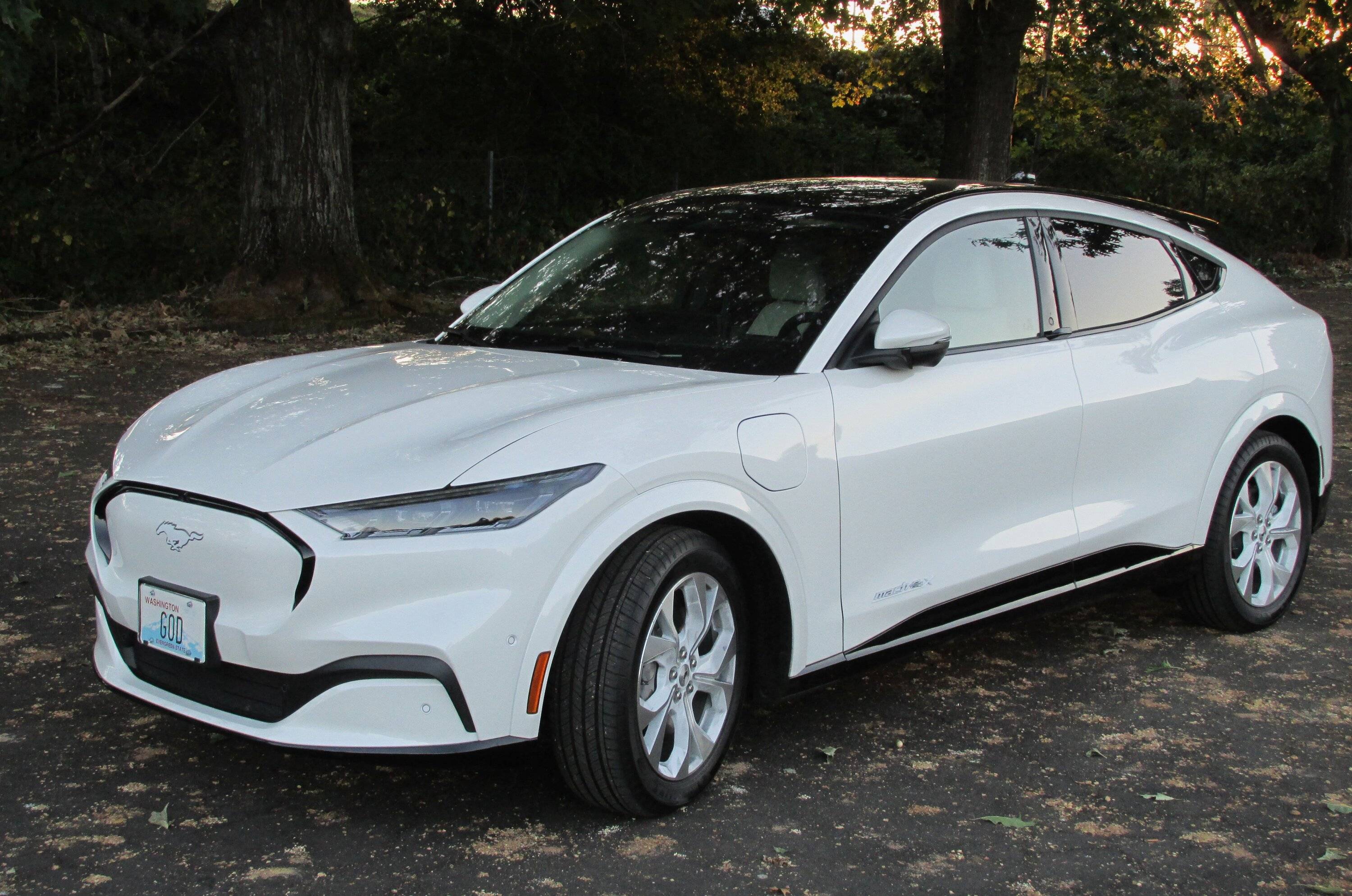 ford ice white mach e 9-25-2022.JPG