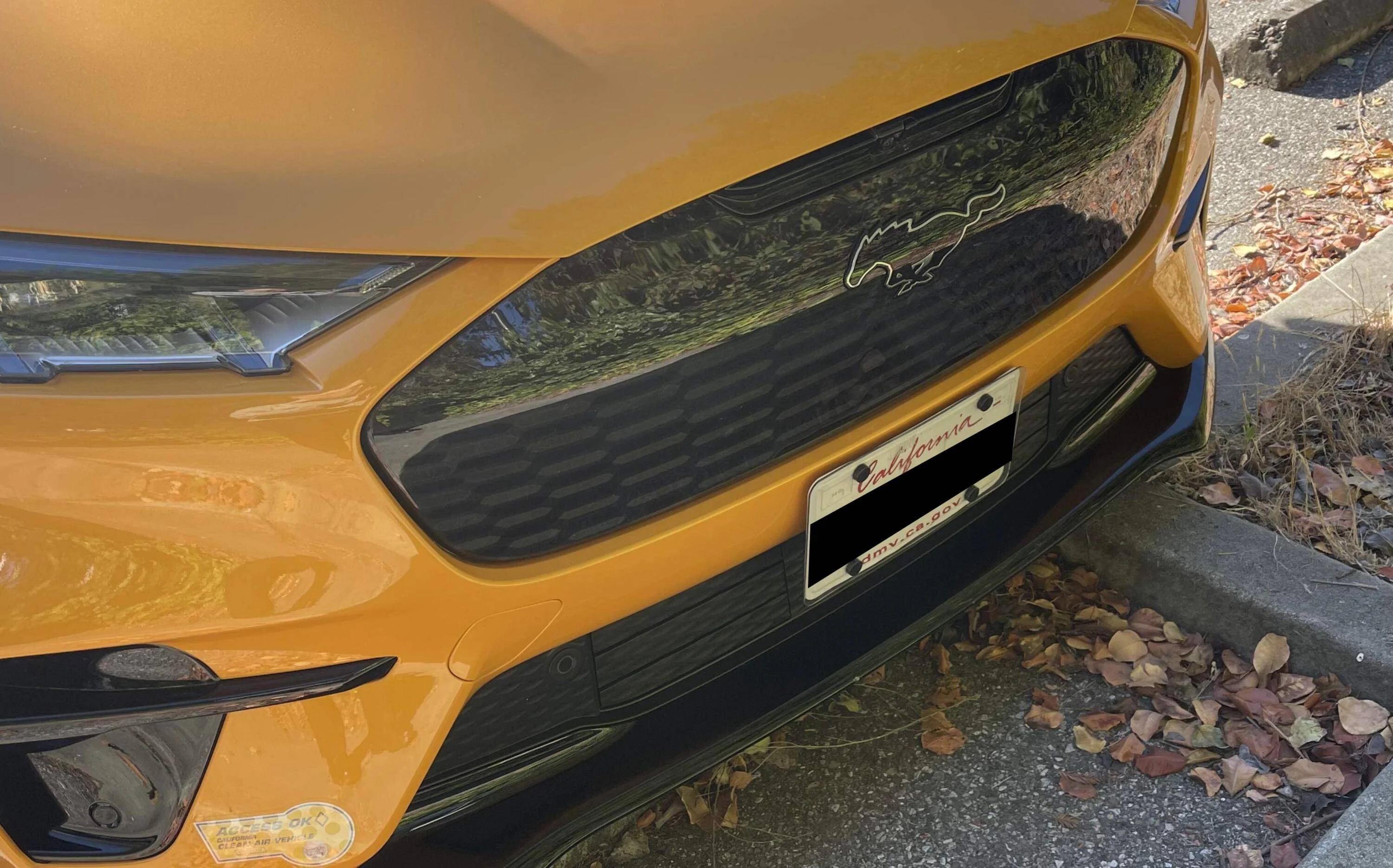 Ford Mustang Mach-E Sto N Sho vs. Craig's Custom Mustang Brackets Review 1664465294522