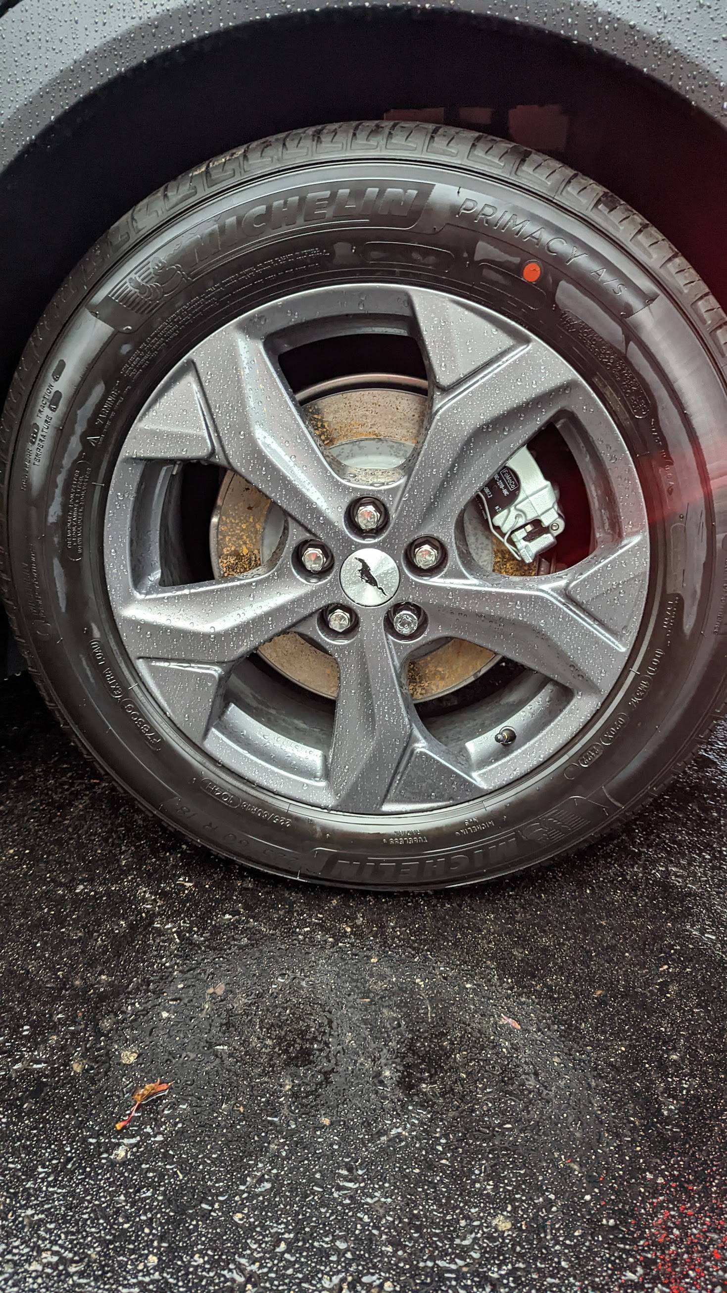 Ford Mustang Mach-E Rusted brake discs PXL_20221013_115535904.MP