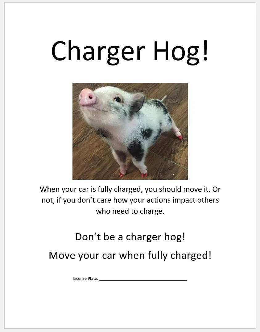 Ford Mustang Mach-E Tesla owners and CCS chargers.... They are invading.... and Rude! 1666265207902