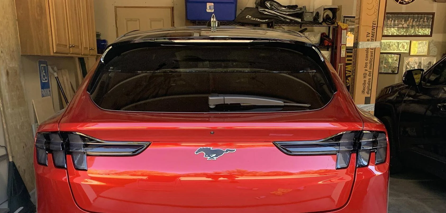 Ford Mustang Mach-E Taillight tint 1666531855027