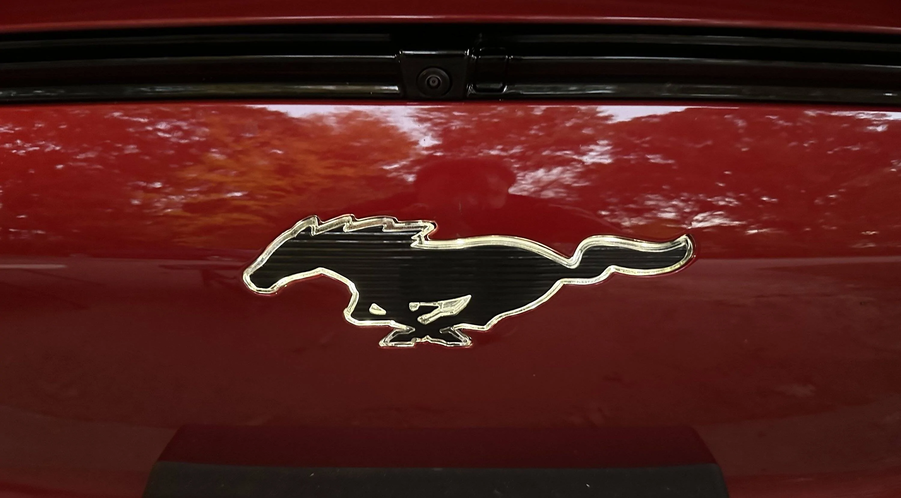 Ford Mustang Mach-E Lighted Pony Project (back it!) LightedPony
