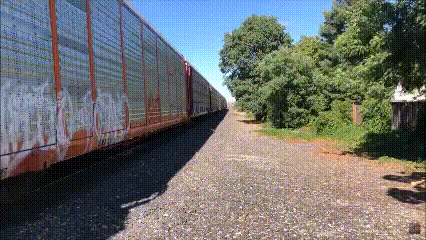 1667790732423.gif