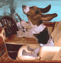 Ford Mustang Mach-E Wind Noise 1668538058975