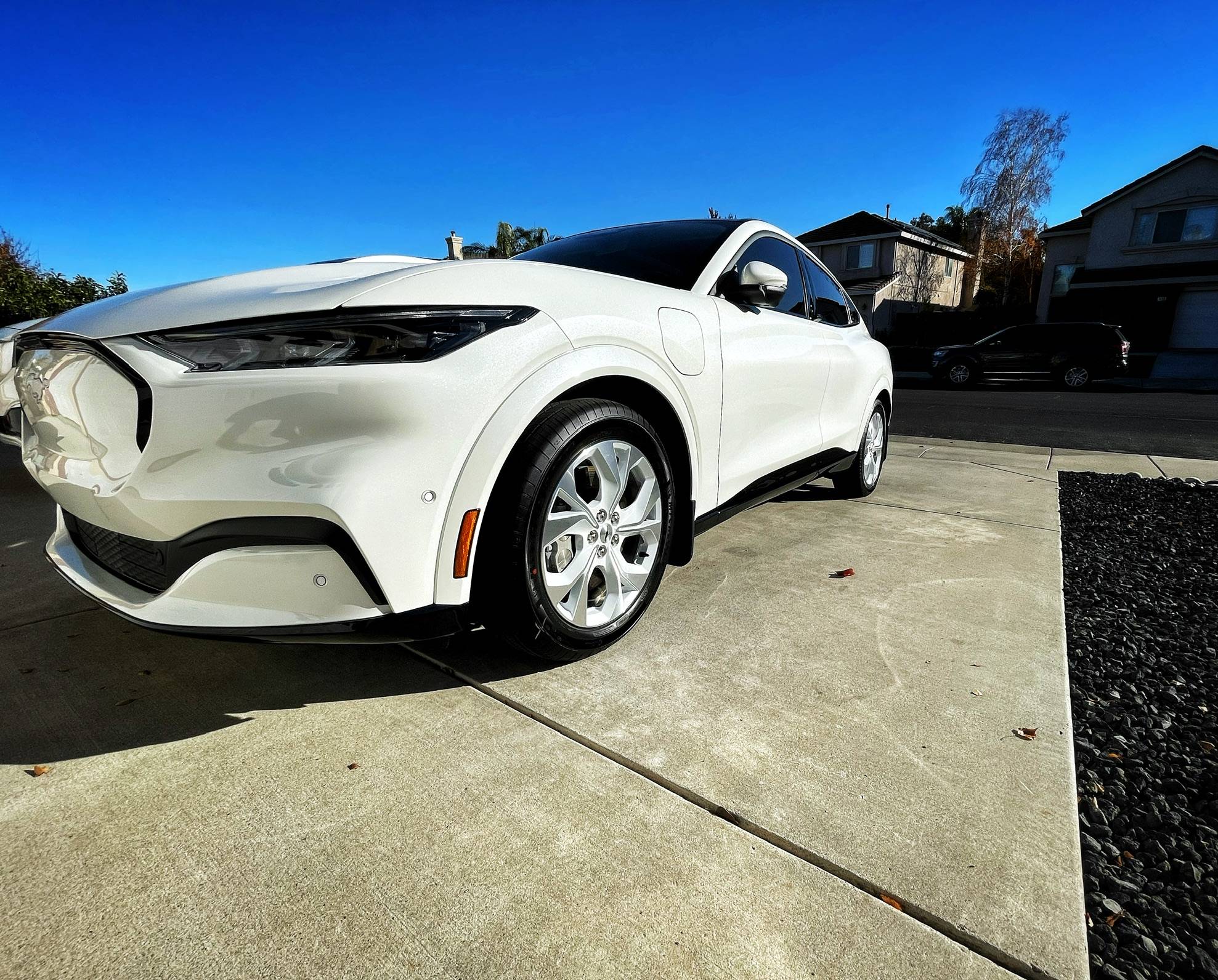 Ford Mustang Mach-E Finished ceramic coat and window tint on my 12-day old Ice White Edition 5C703204-28B9-477E-A662-0BF0CE8A0E0B
