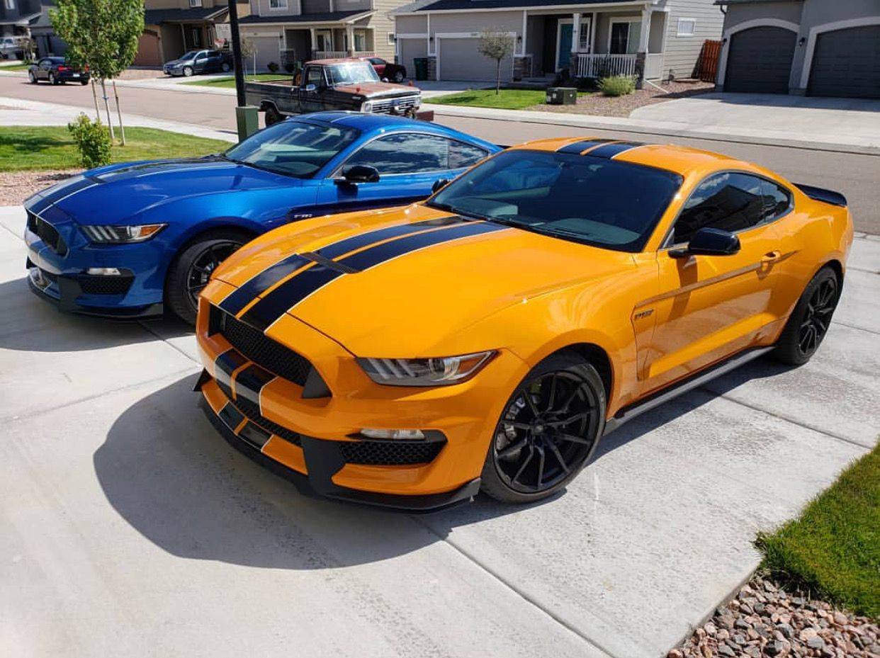 Ford Mustang Mach-E Where are my stripes people 0815e49460b274555072583da365a1fb