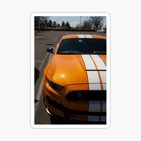 Ford Mustang Mach-E Where are my stripes people st,small,507x507-pad,600x600,f8f8f8