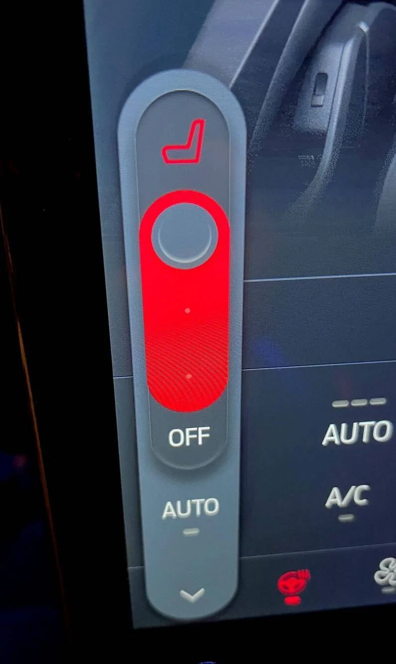 Ford Mustang Mach-E Remote start question re seats & steering wheel 1670810215562