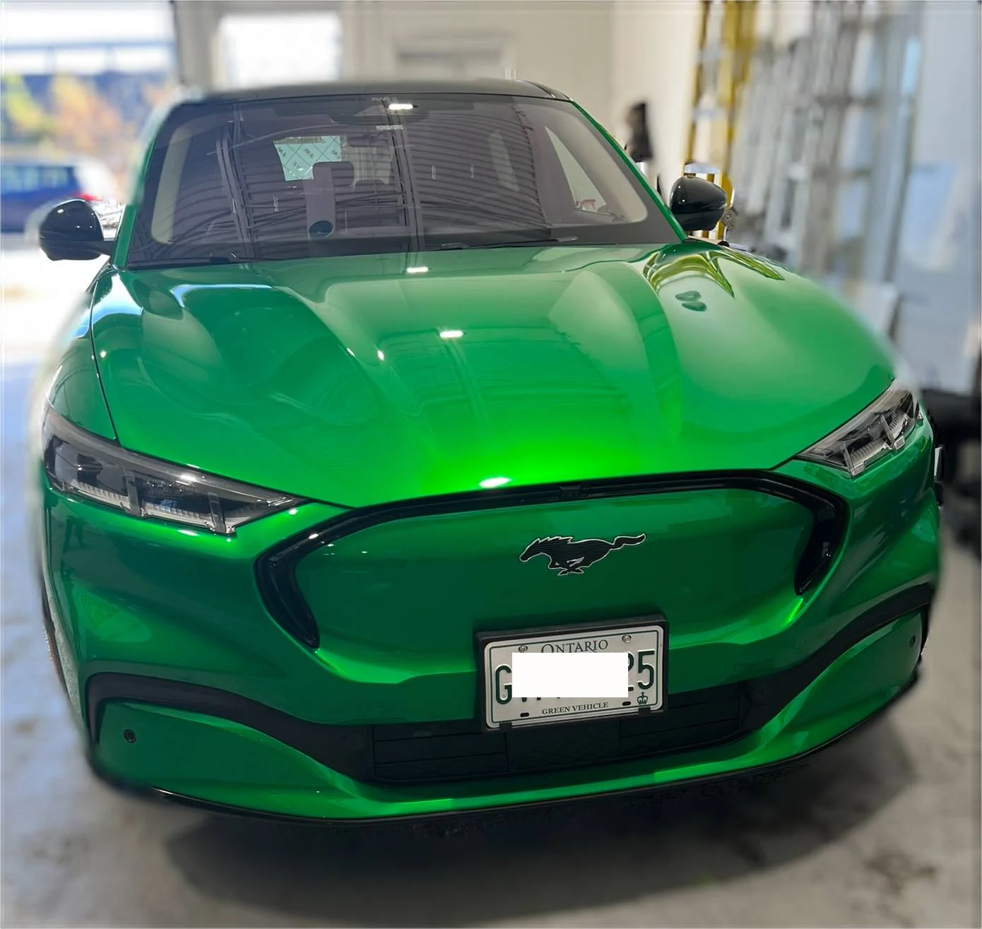 Ford Mustang Mach-E So happy with my new wrap job in 3M Green Envy! ECA30ACC-8B5F-4DFE-9466-016019A818FD