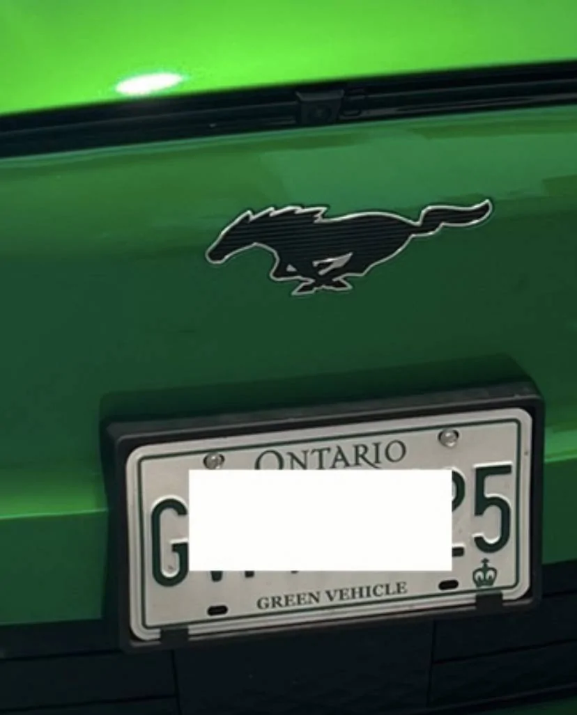 Ford Mustang Mach-E So happy with my new wrap job in 3M Green Envy! B5DB94E5-C483-4073-AD07-E7EEB6B25007