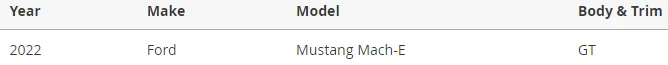 Ford Mustang Mach-E GT Performance Edition vs Standard GT worth it? 1671047377429