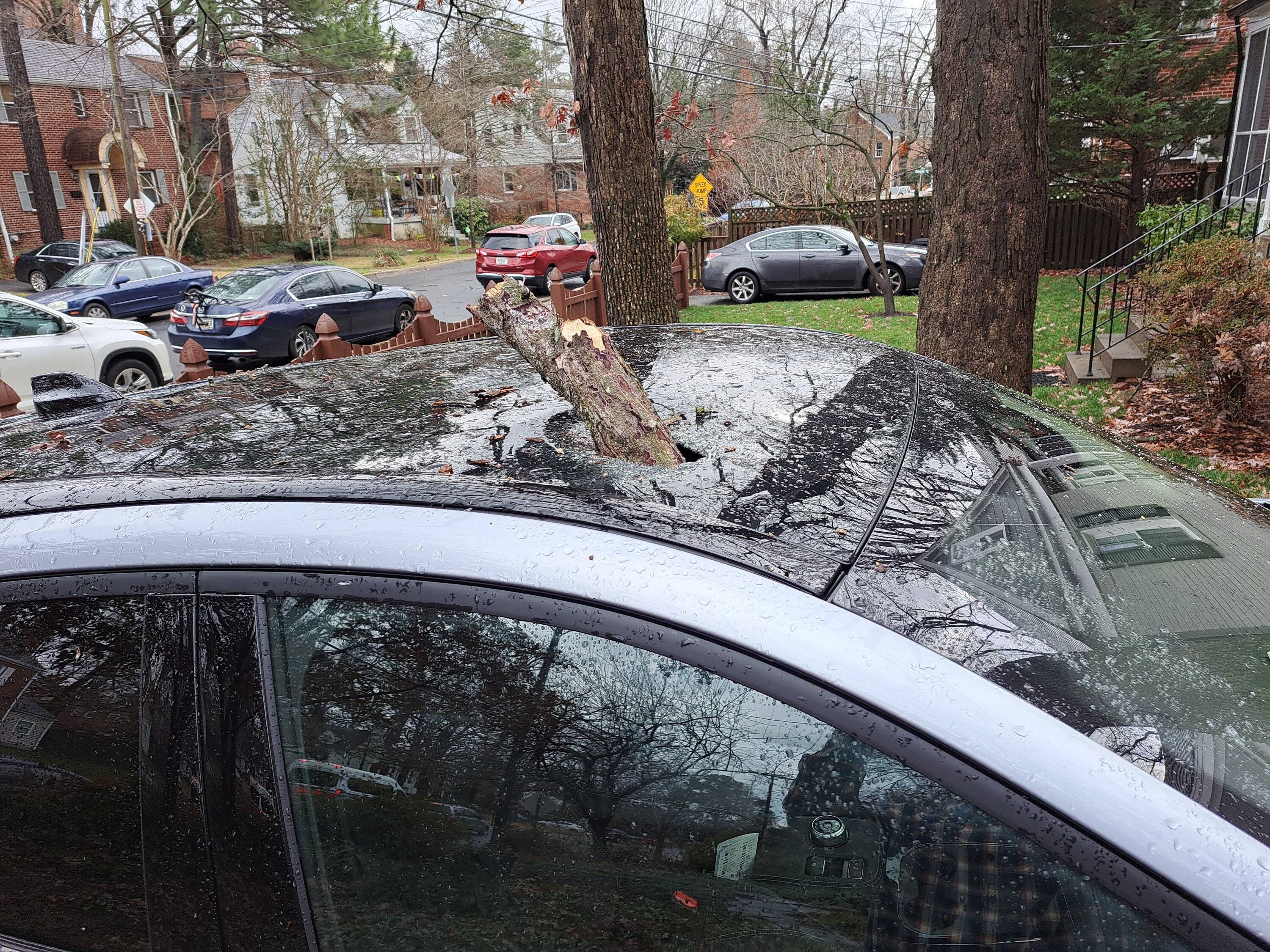 Ford Mustang Mach-E Glass roof replacement (arrrgh!) Smashed by tree limb 20221223_103602
