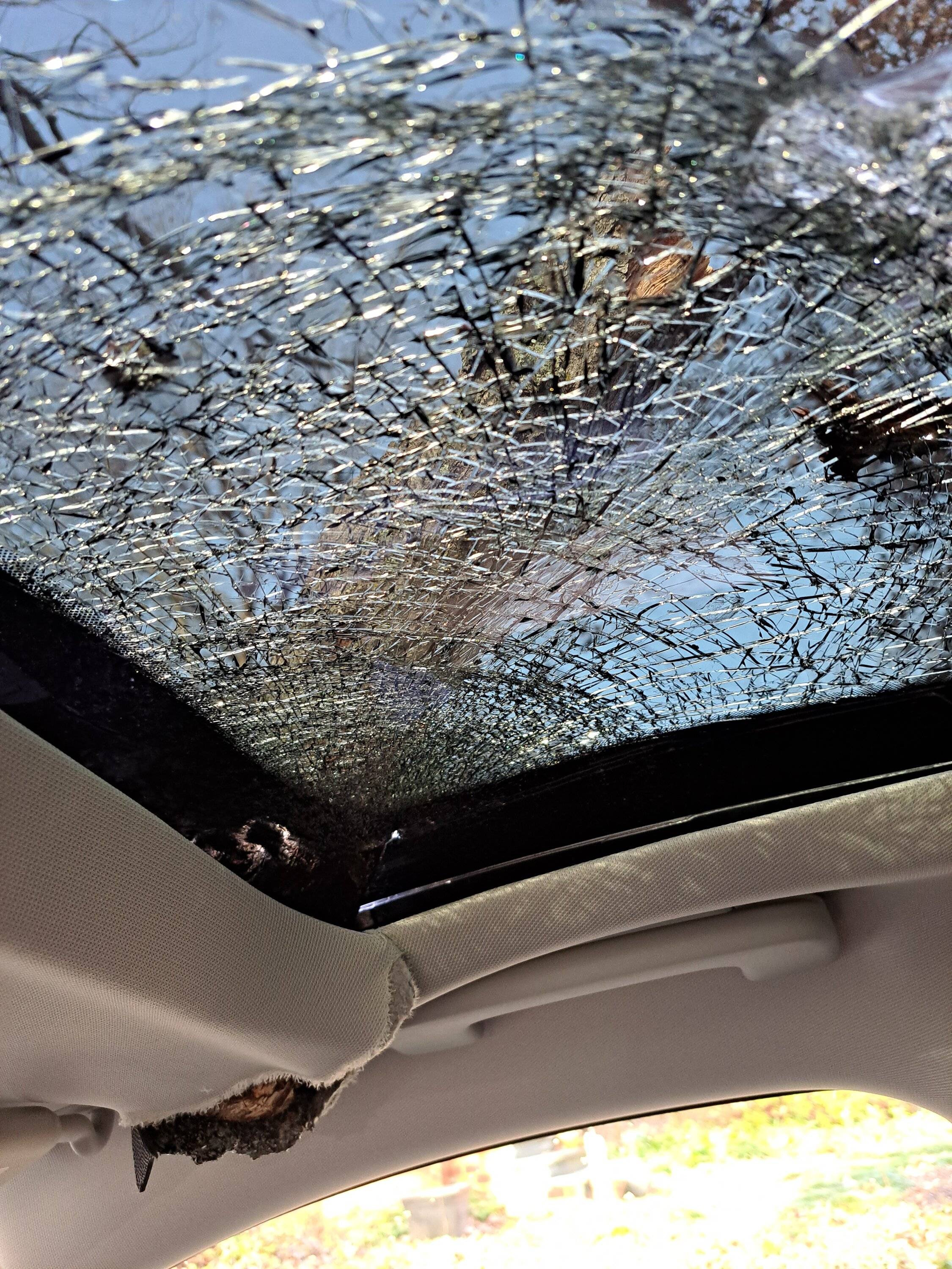 Ford Mustang Mach-E Glass roof replacement (arrrgh!) Smashed by tree limb 20221223_112328