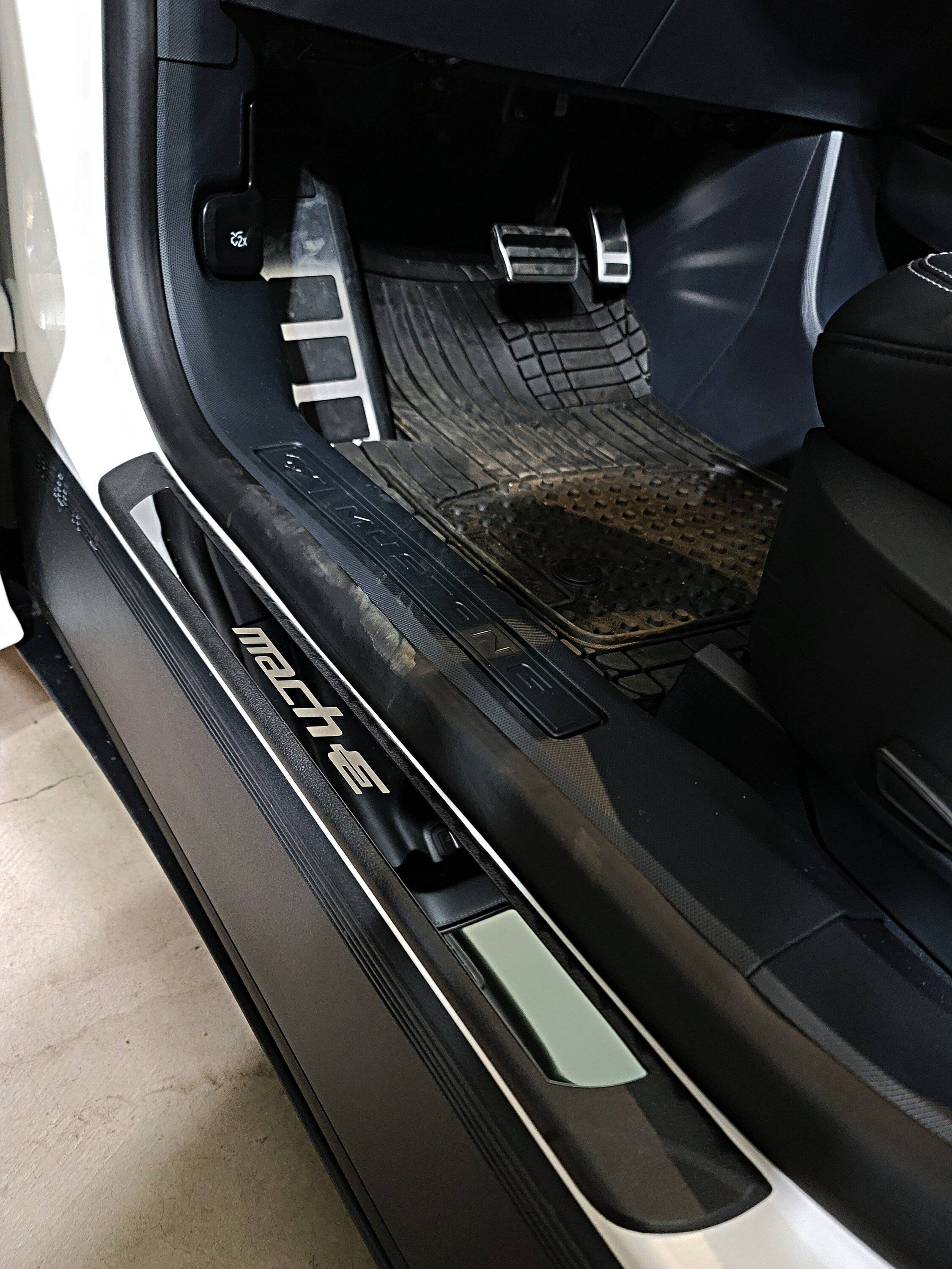 Ford Mustang Mach-E Added window cover and door sill aviary-image-1672259198944